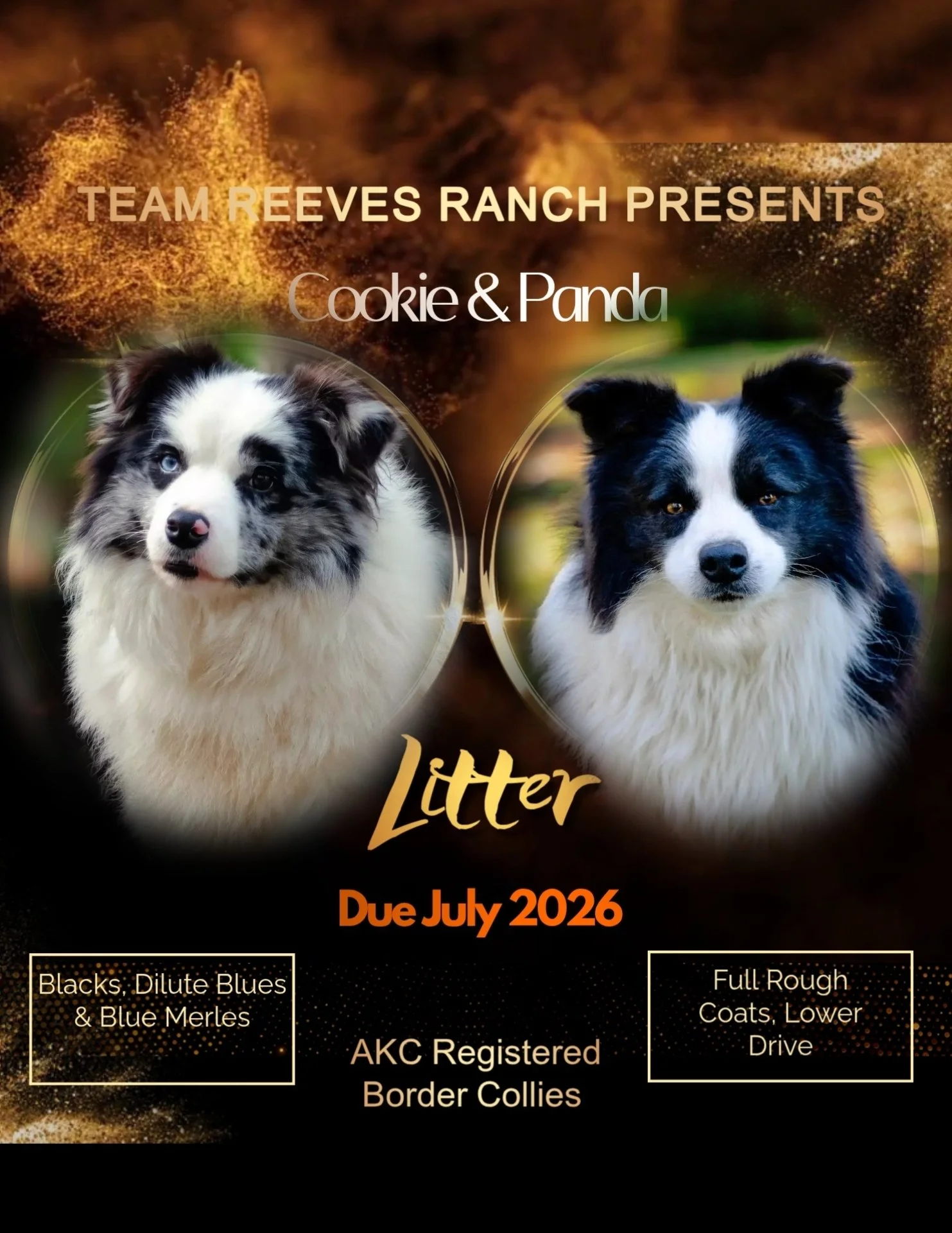 gold party (15) (1).jpg