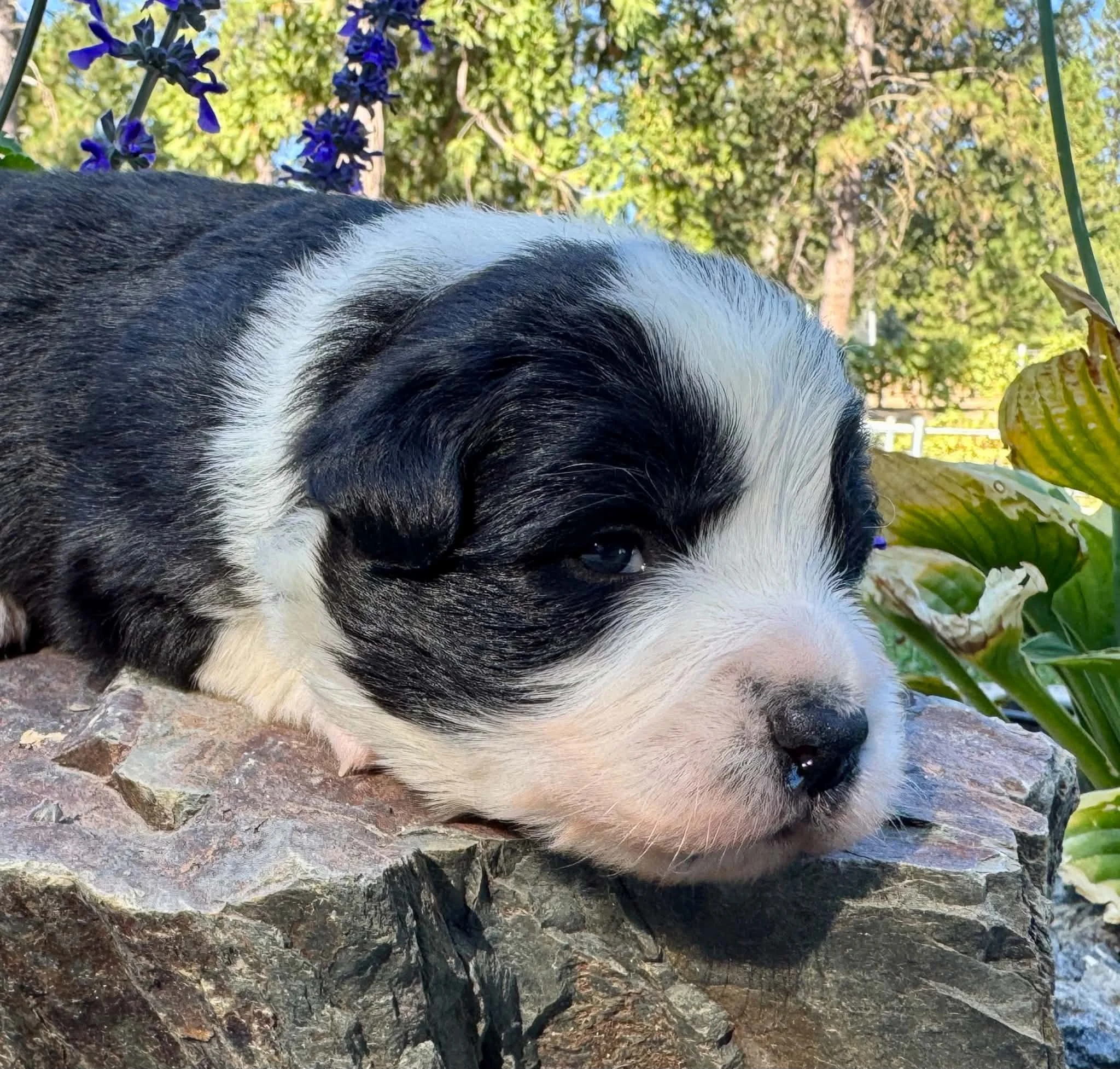 2 (3).jpg