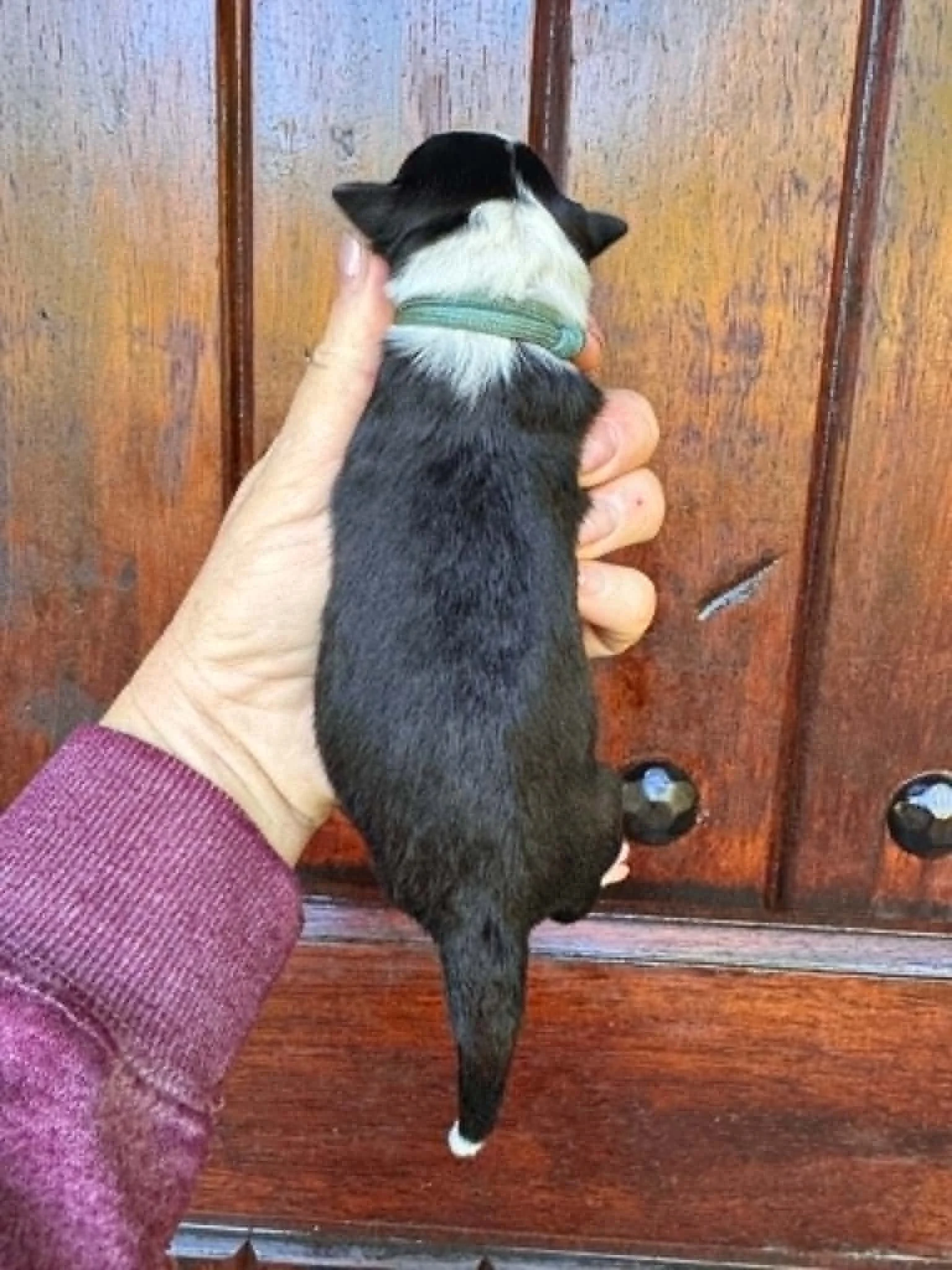 1 (4).jpg