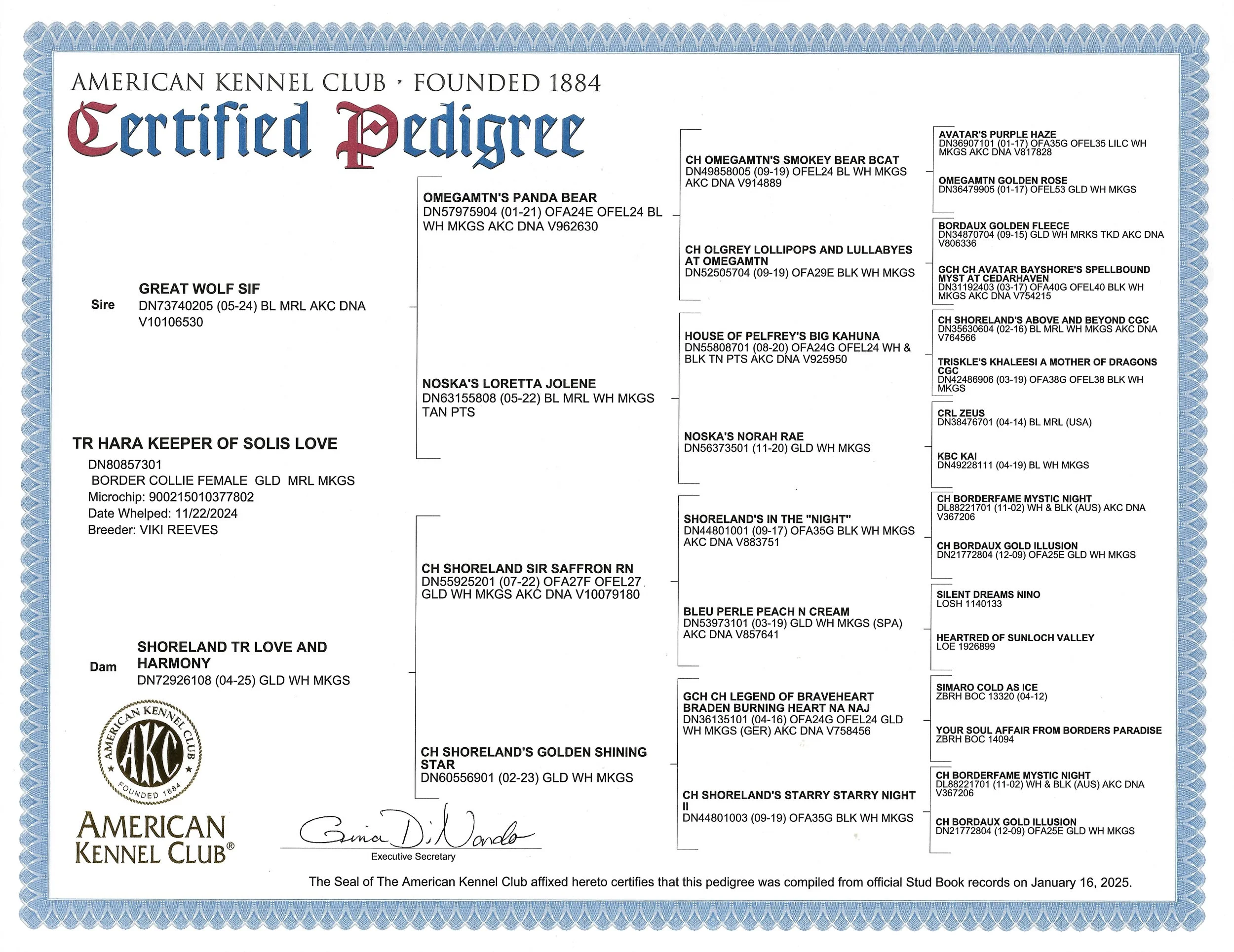 pedigree.jpg