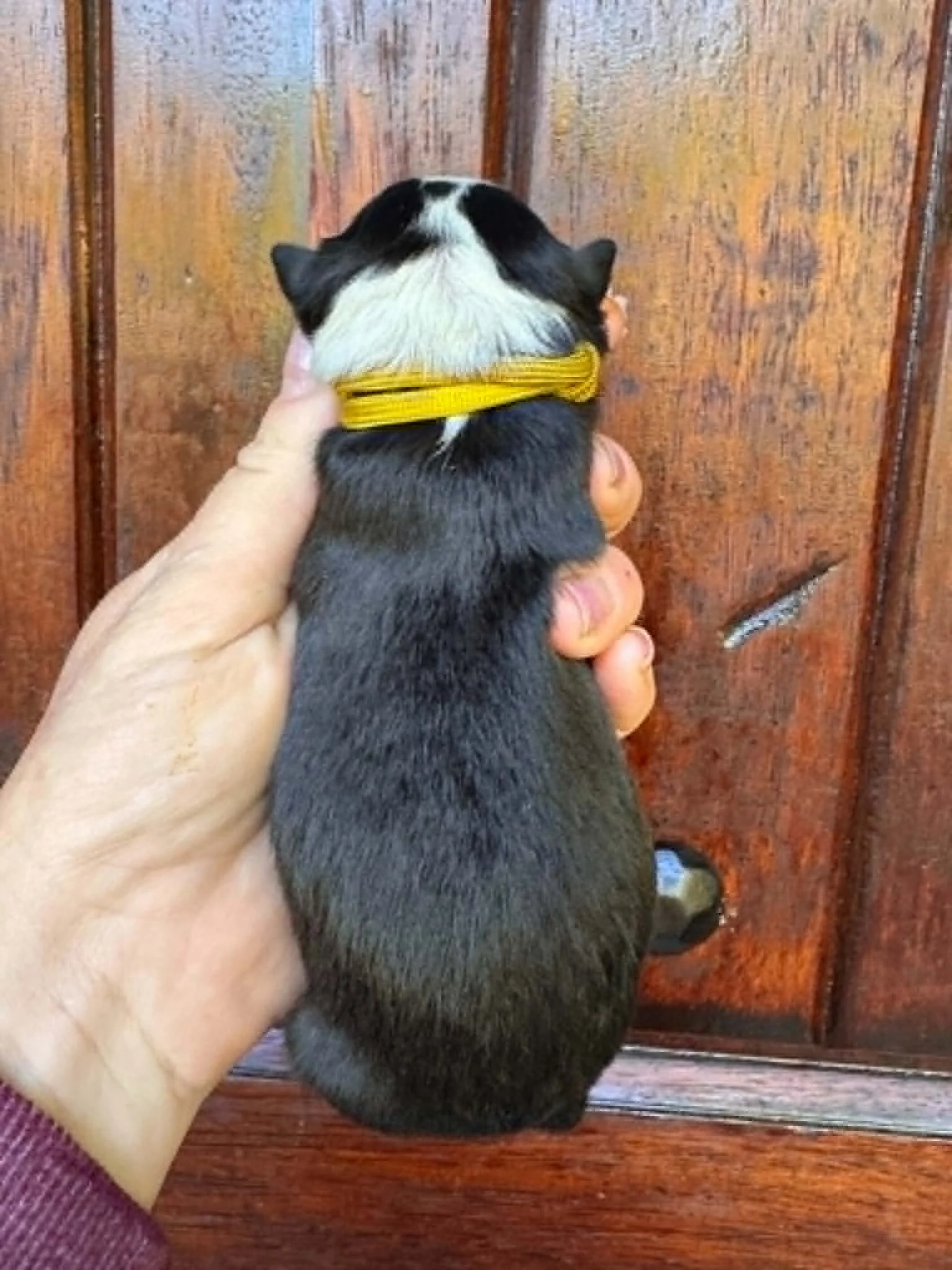 1 (1).jpg