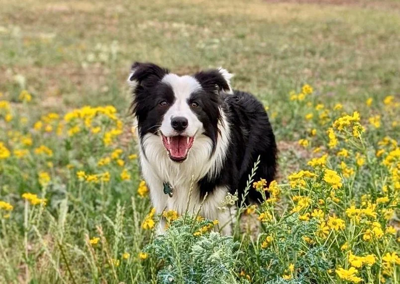 Then and Now Photos — Team Reeves Ranch