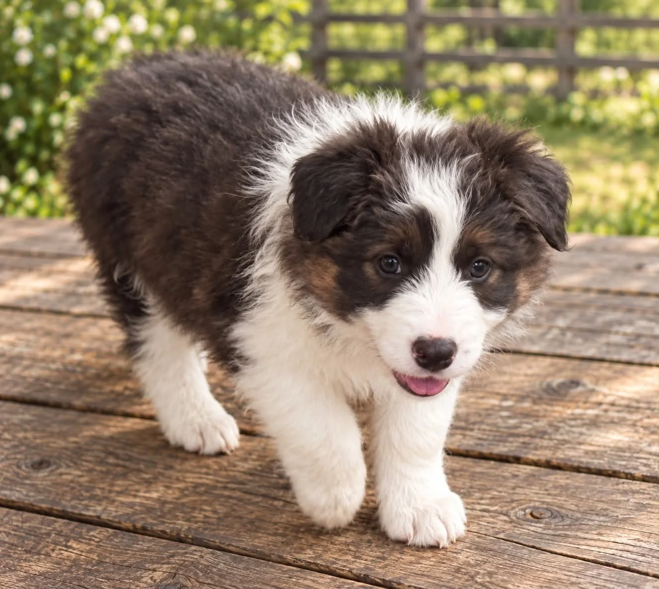 a5fe9a8f-e24a-4161-a7a2-fad09283fee8.jpg