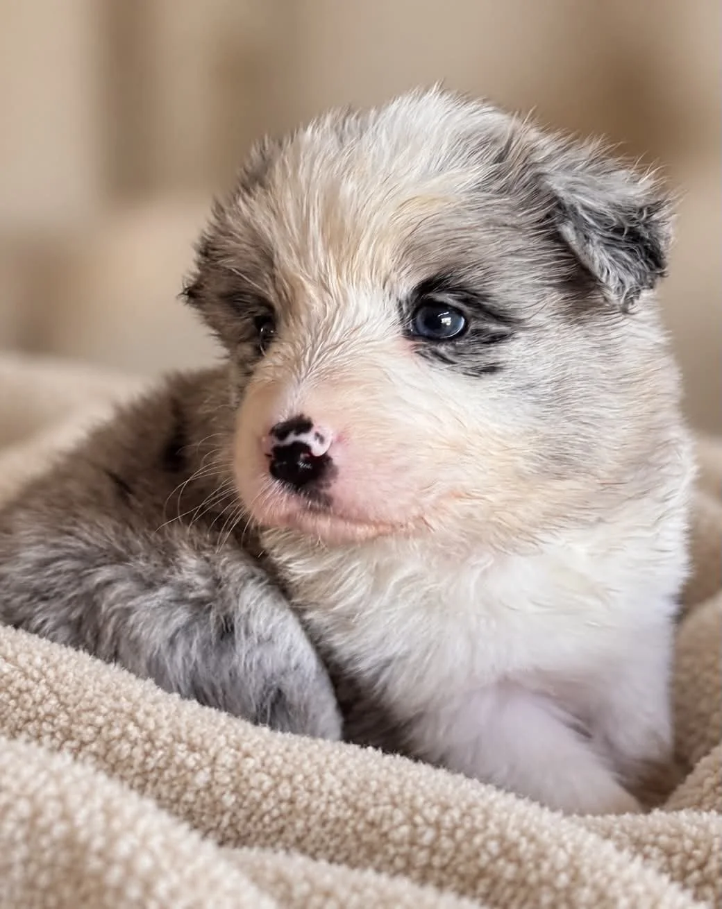 4 (2).jpg