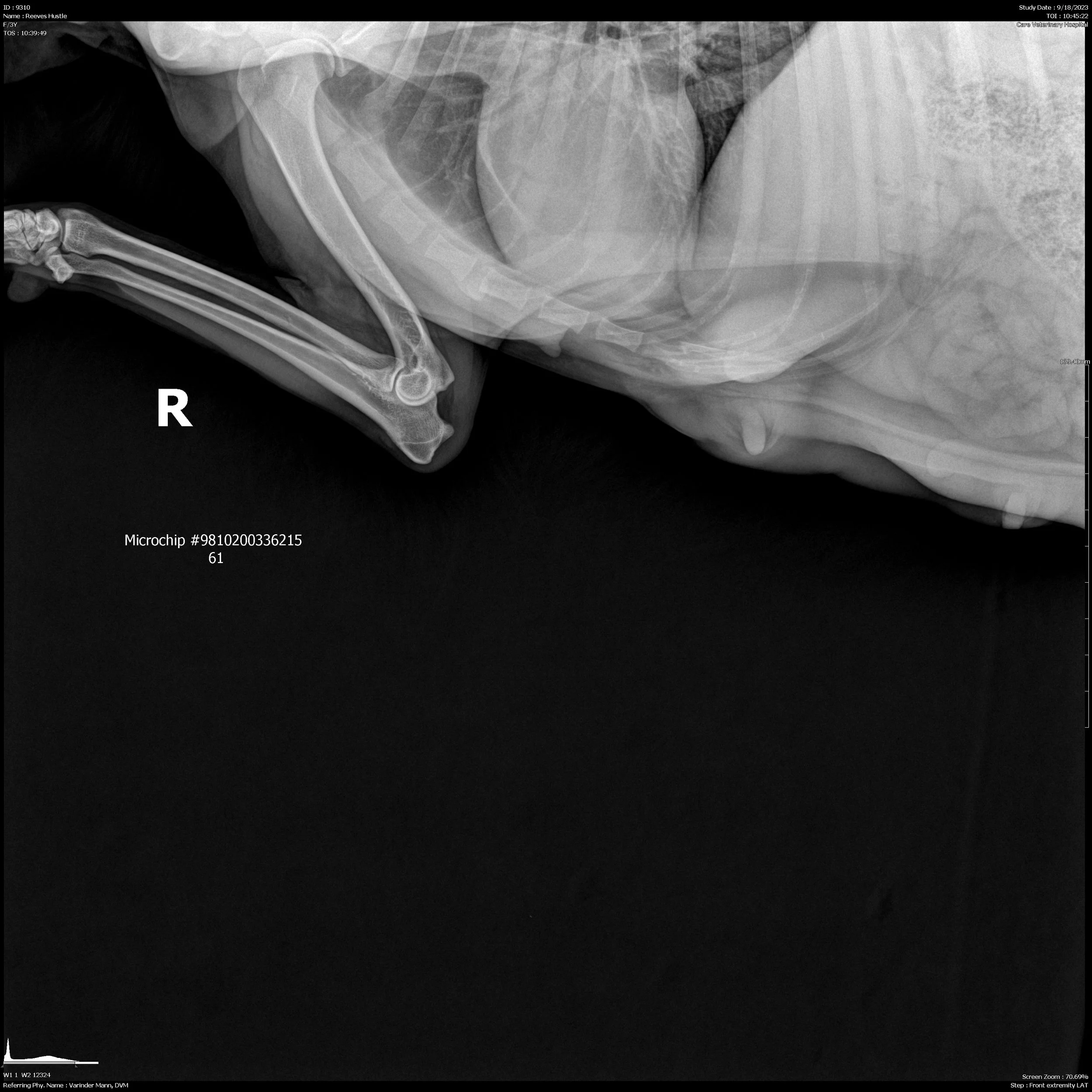 S2913I9449.jpg