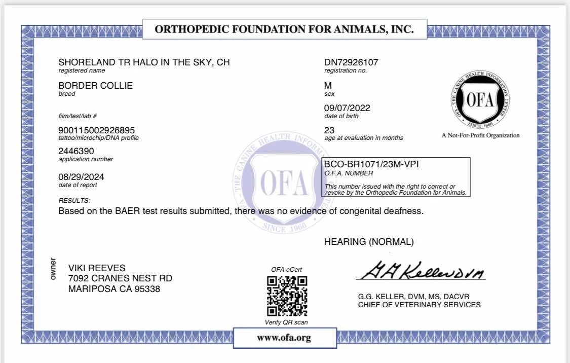 BAER Cert.jpg