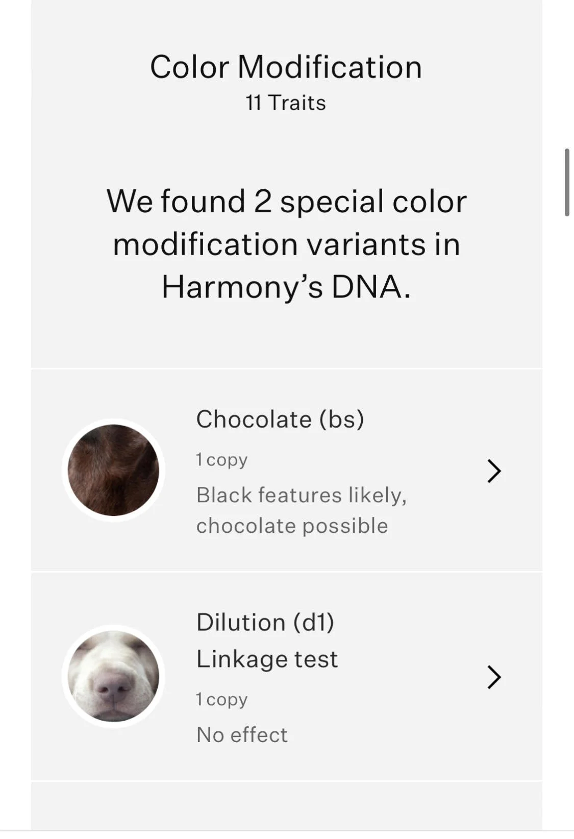 DNA 5.jpg