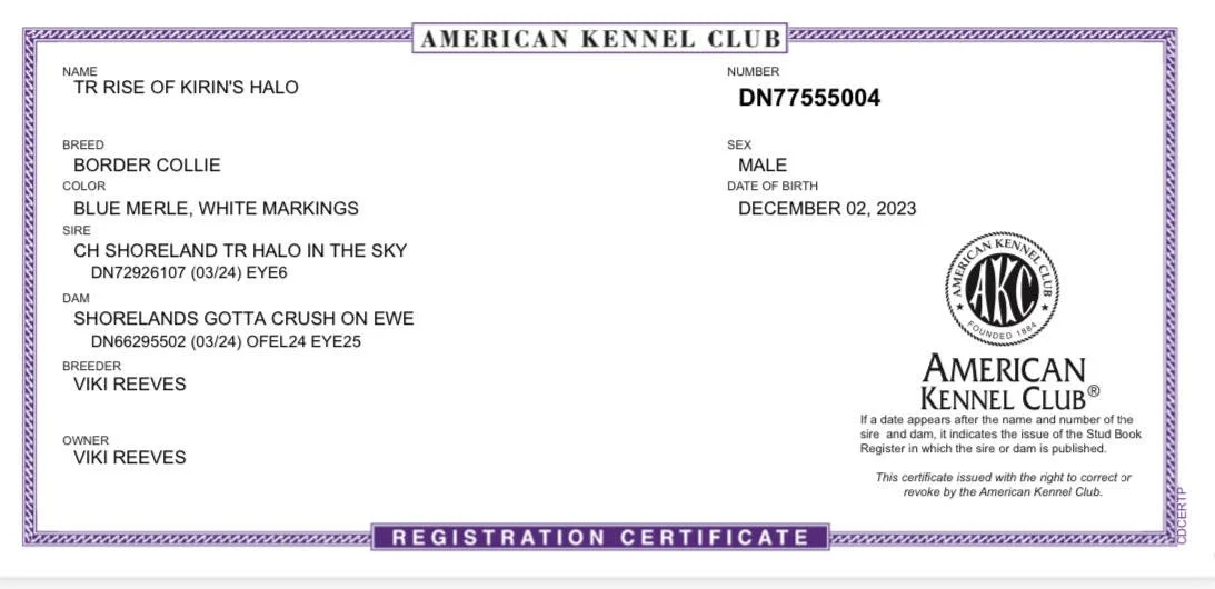 AKC Web Reg..jpg