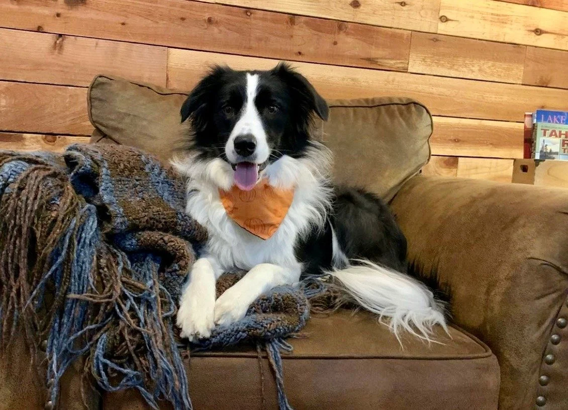 Then and Now Photos — Team Reeves Ranch