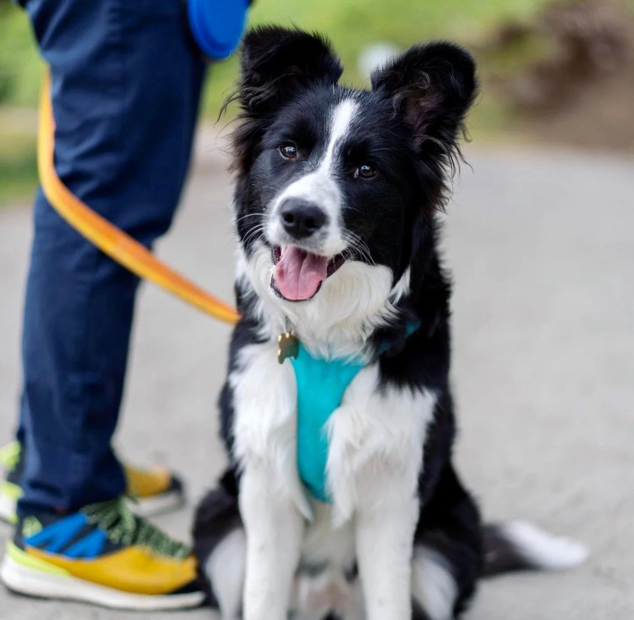 General 3 — Team Reeves Ranch