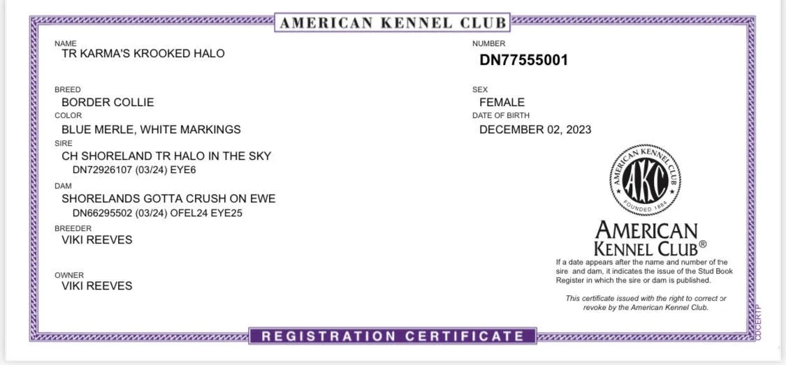 AKC Web Reg..jpg
