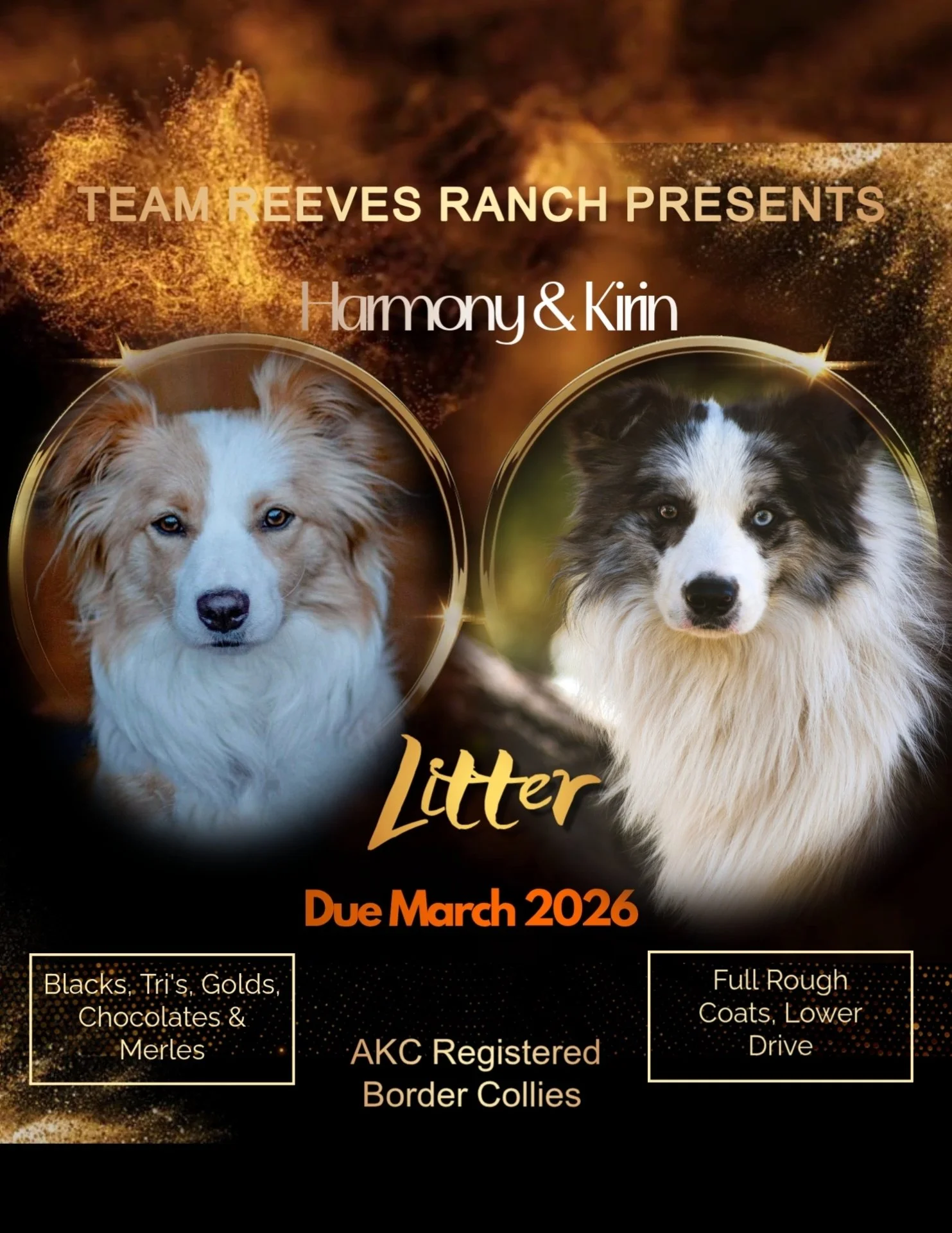 gold party (16) (2).jpg