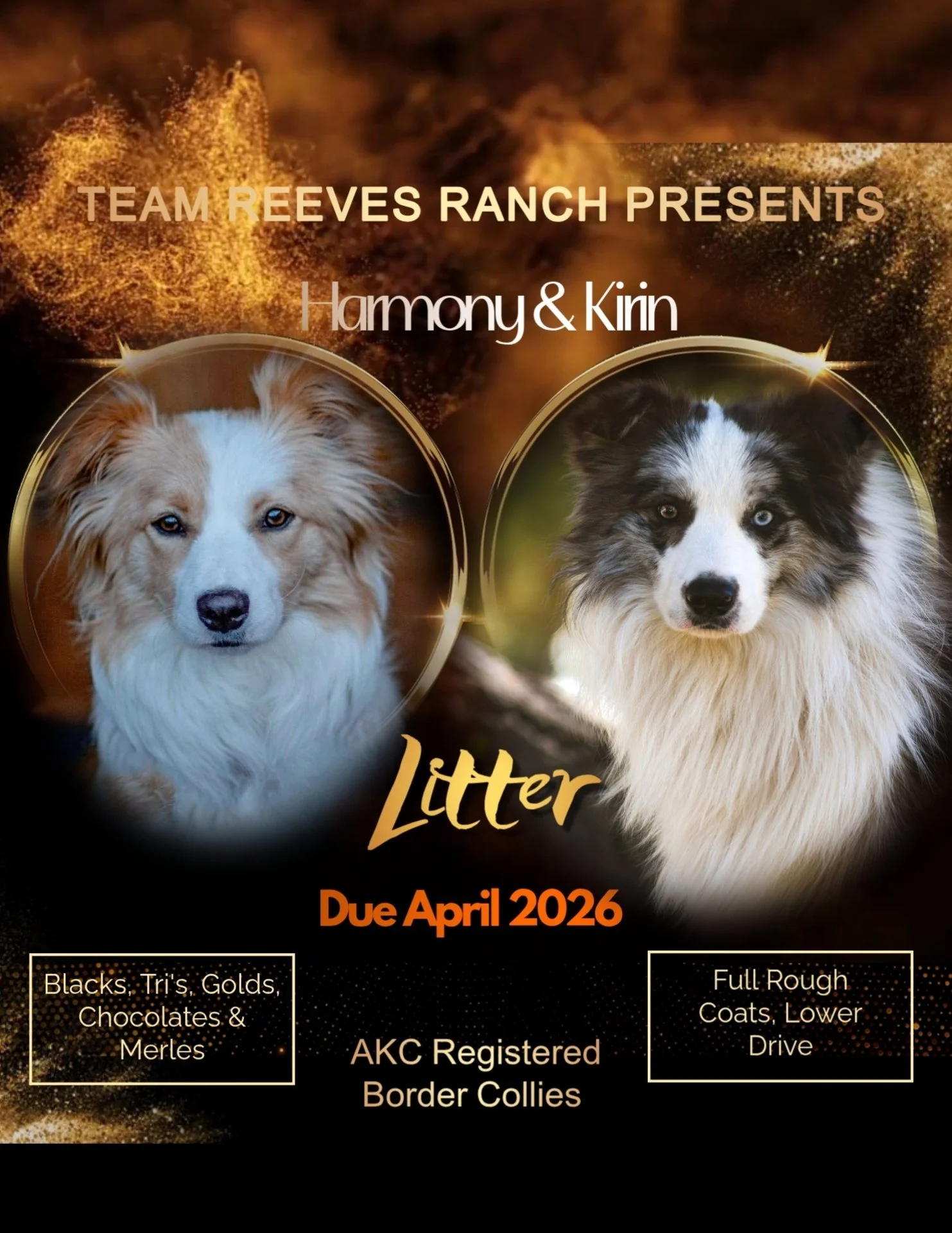 gold party (16) (3).jpg