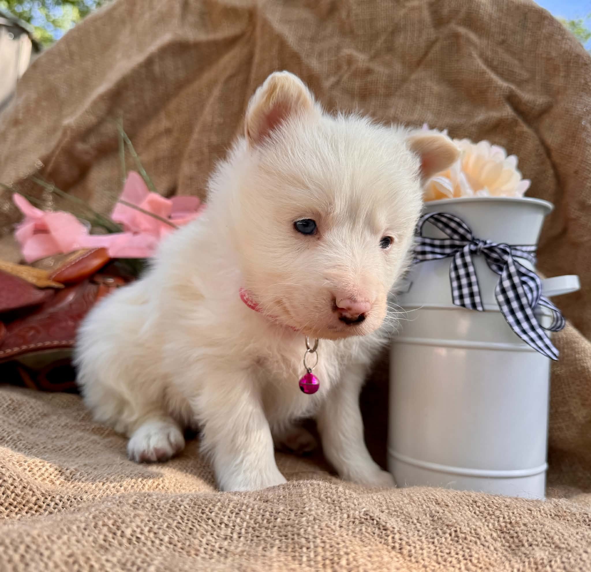 3 (3).jpg