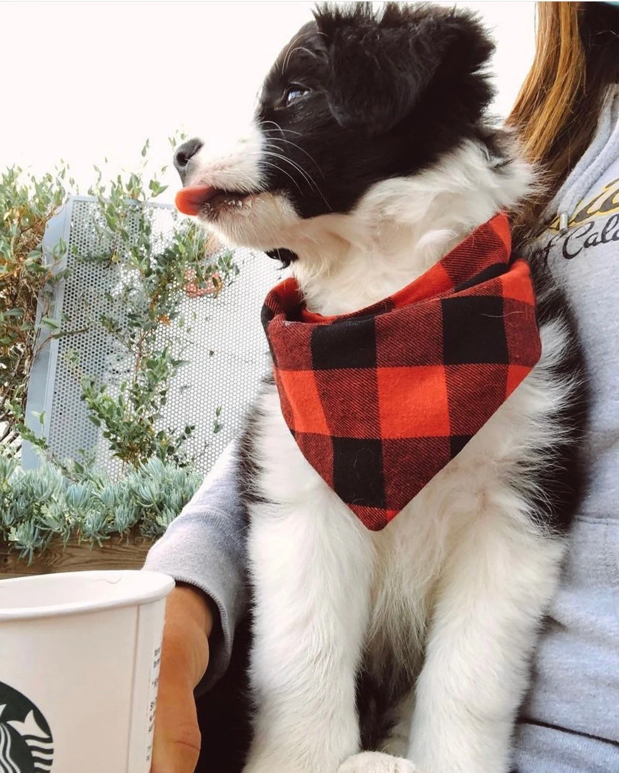 Then and Now Photos — Team Reeves Ranch