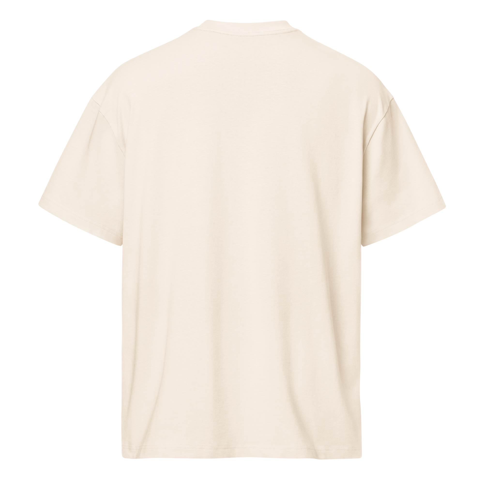 mens-box-tee-vintage-white-back-6acd1e58b6cf5.png