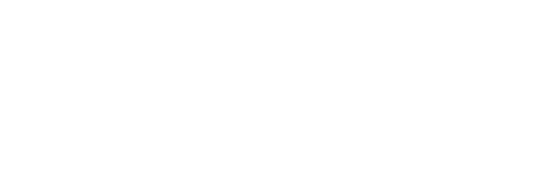 Capstone_full_logo-wht.png