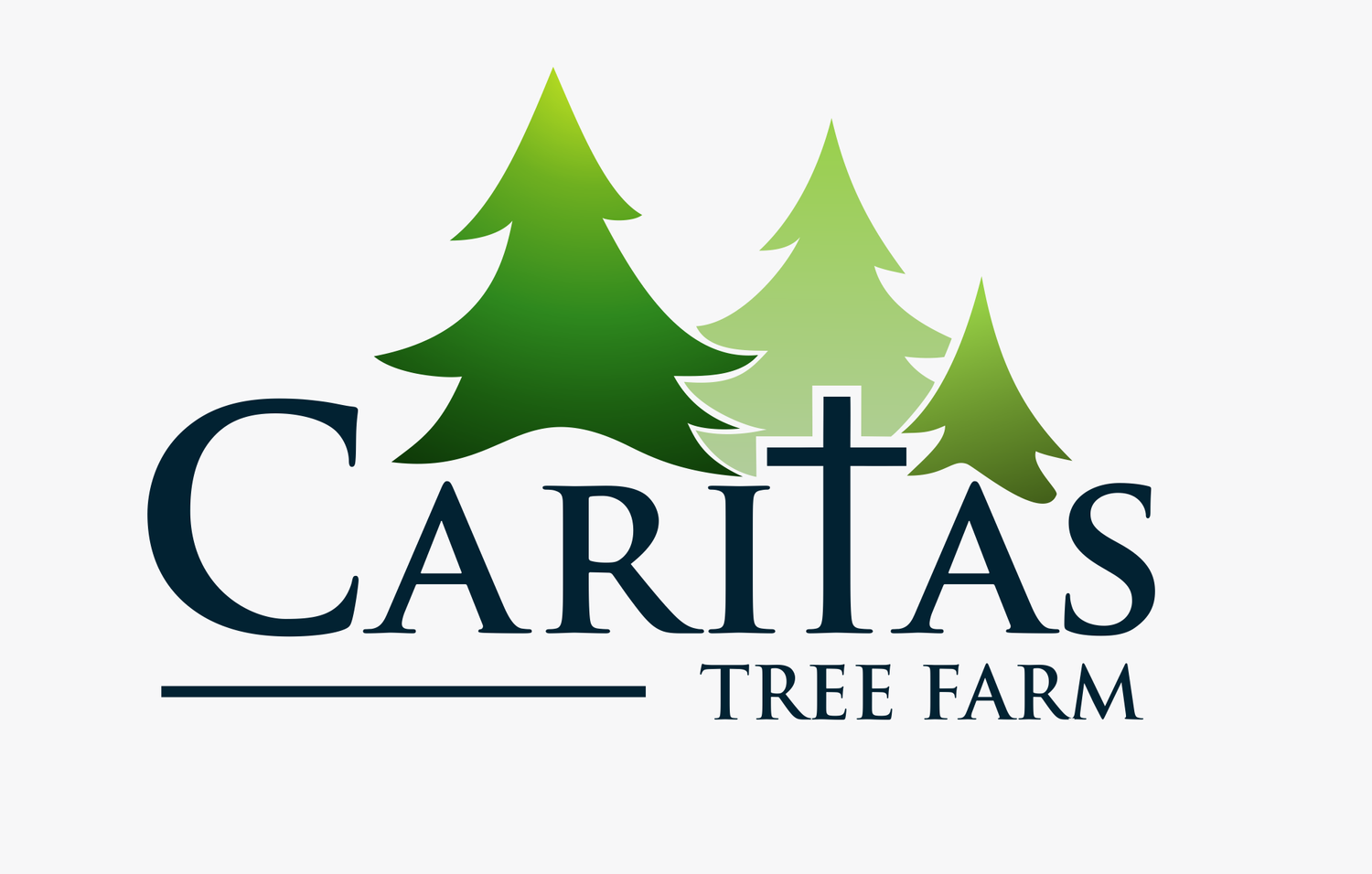 CARITAS TREE FARM