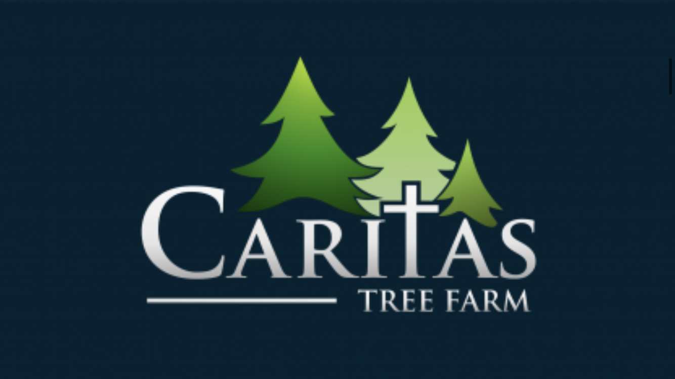 CARITAS TREE FARM