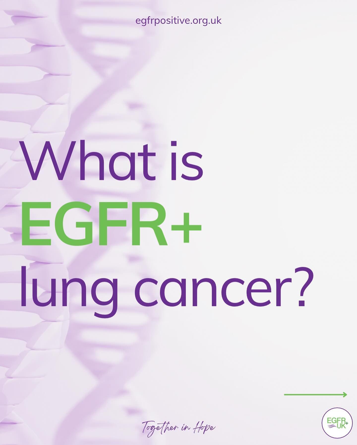 Understanding EGFR+ lung cancer can be challenging, but it&rsquo;s important for those diagnosed, and their loved ones, to have clear information. 

EGFR+ is a form of non-small cell lung cancer that&rsquo;s driven by changes in the EGFR gene, affect