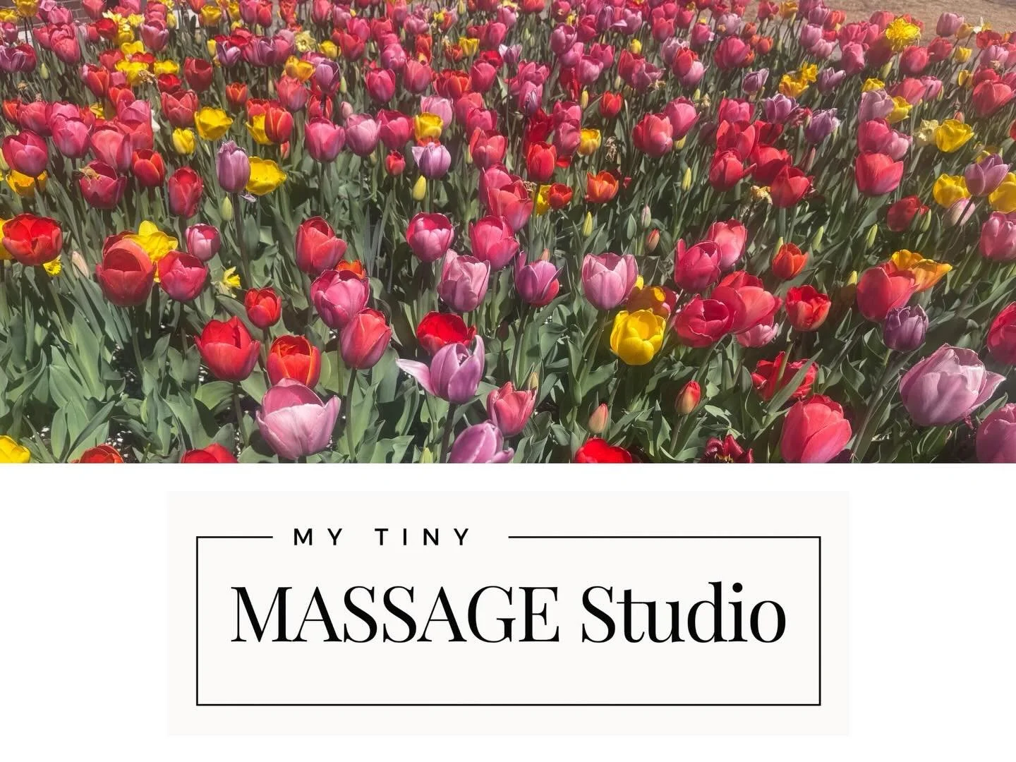 Spring is here and so are the tulips outside My Tony Massage Studio🌷 Wishing everyone a peaceful, restorative weekend -whatever you&rsquo;re celebrating