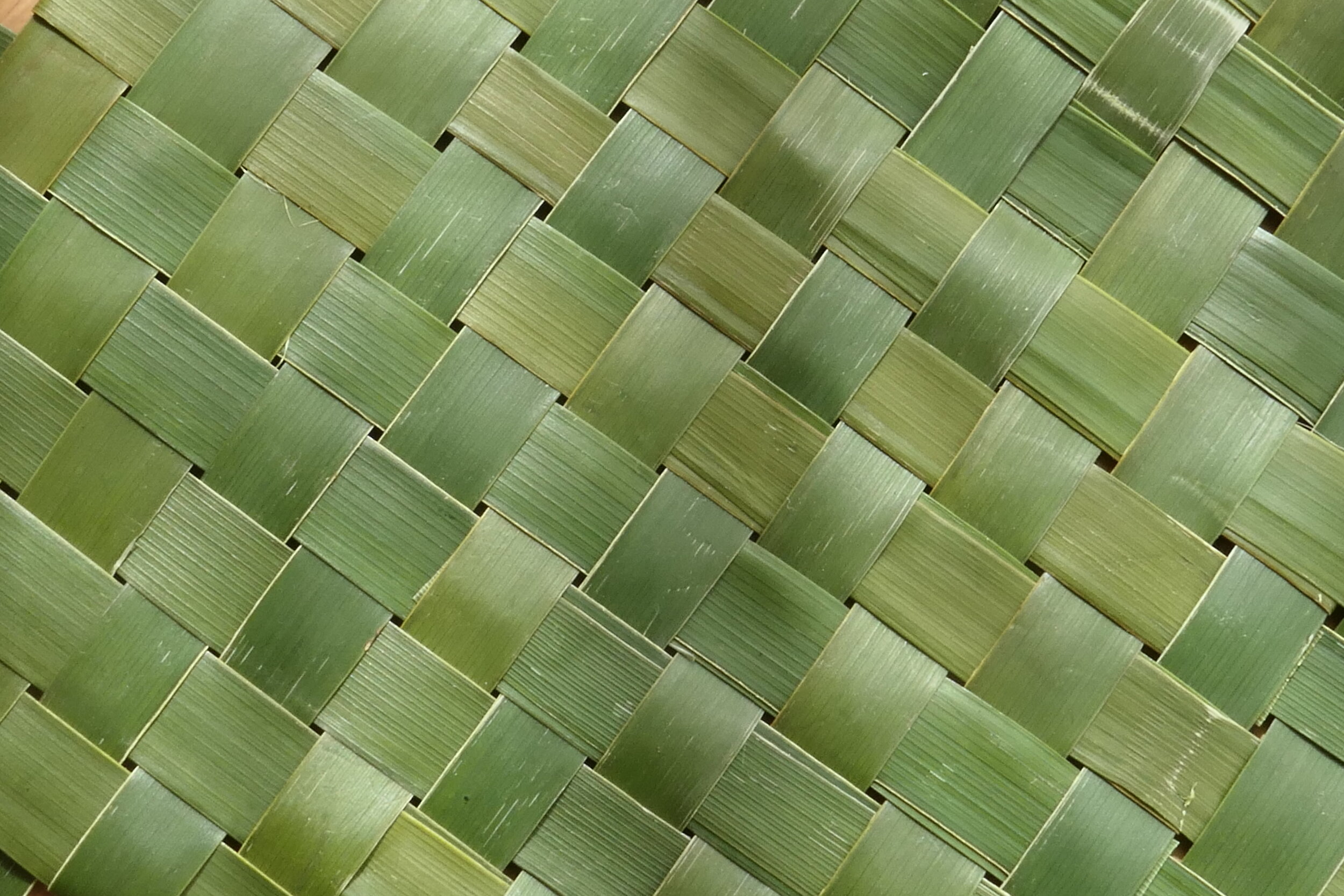 Palm Plaiting.