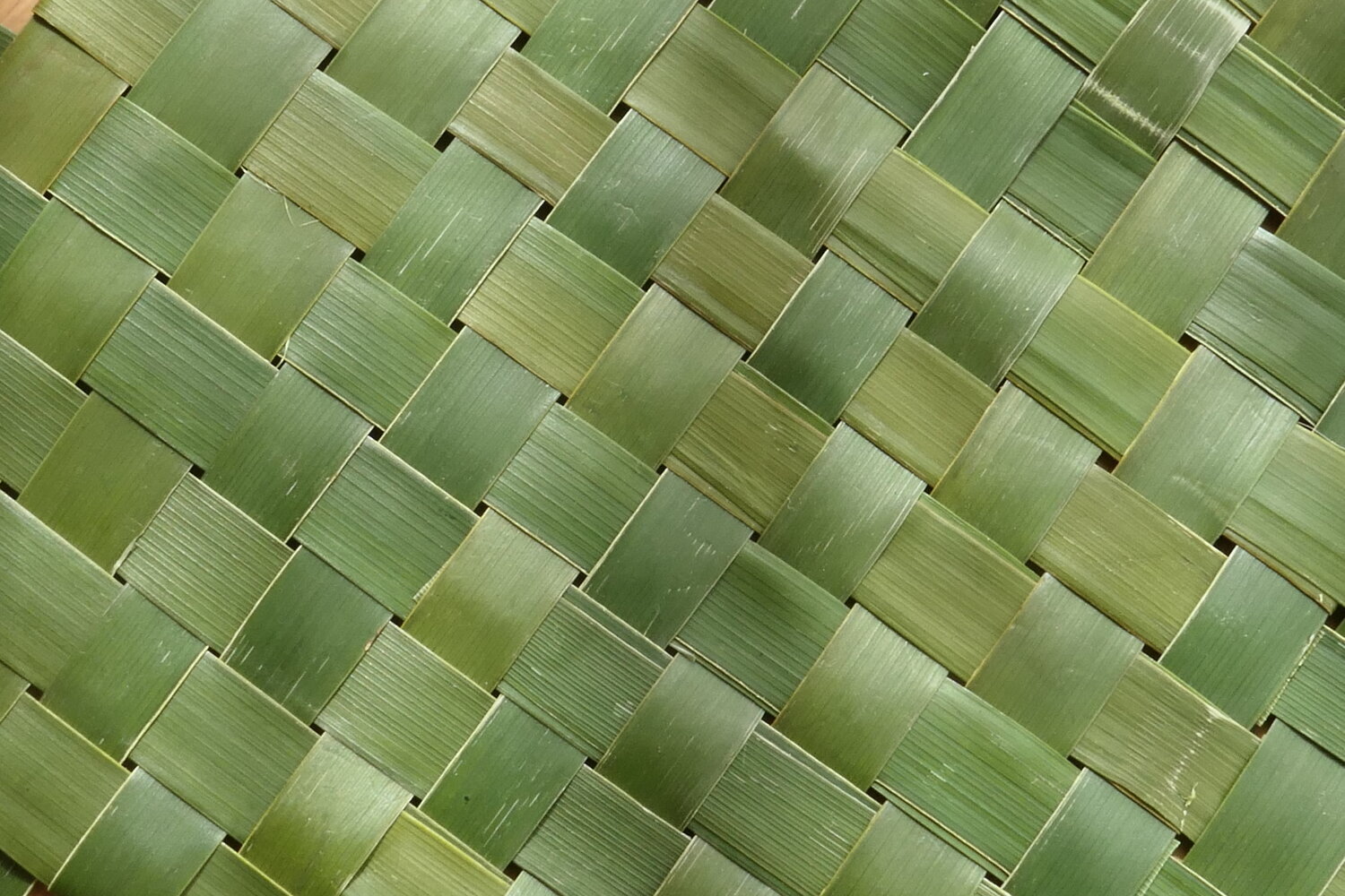 Palm plaiting.