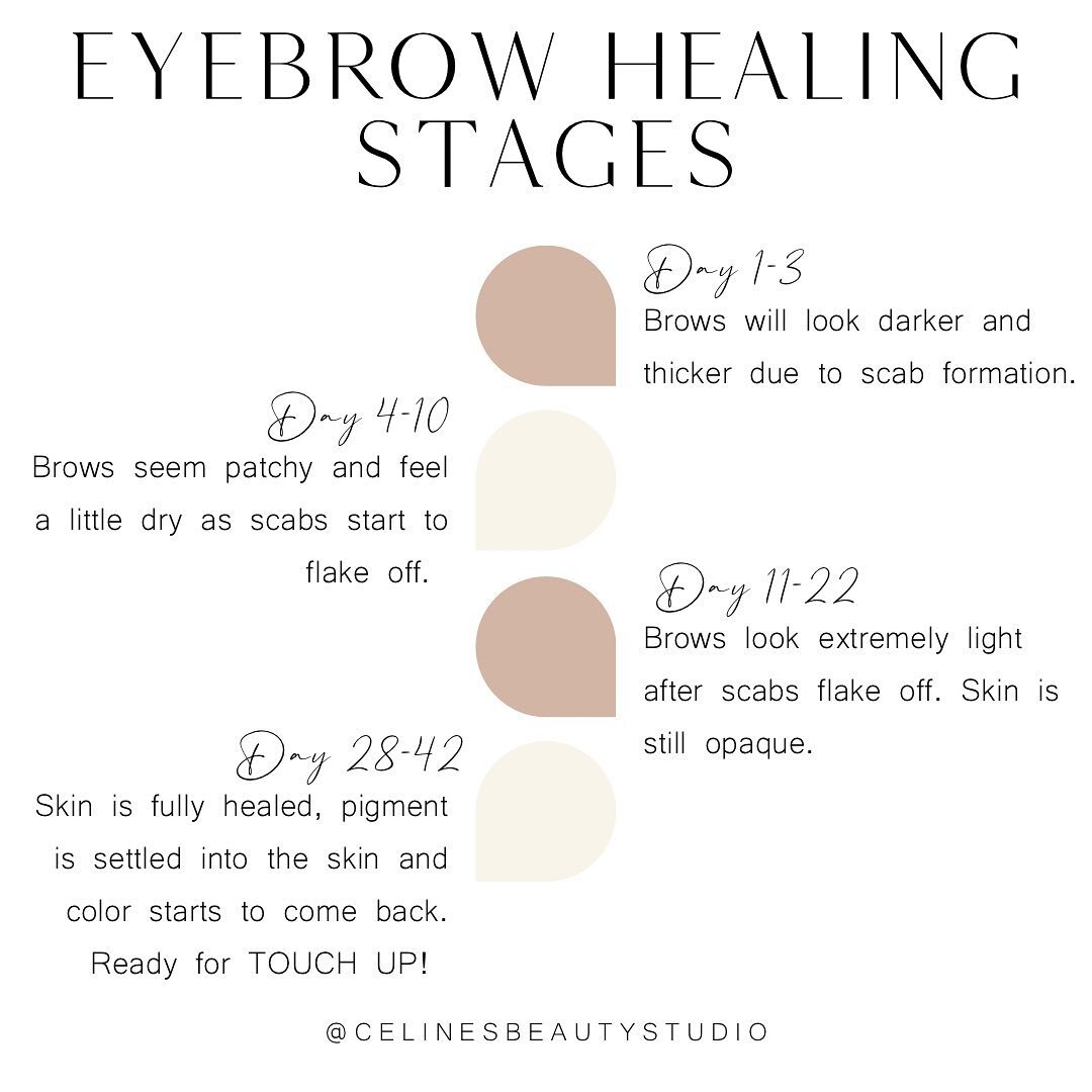 If you&rsquo;re a little worried about how your brows are healing, it&rsquo;s totally NORMAL! 🤎

Have you booked for your touch up yet?

#sandiegomicroblading #sandiegobrowartist #sandiegopmu #sandiegopowderbrows #microbladinghealingprocess