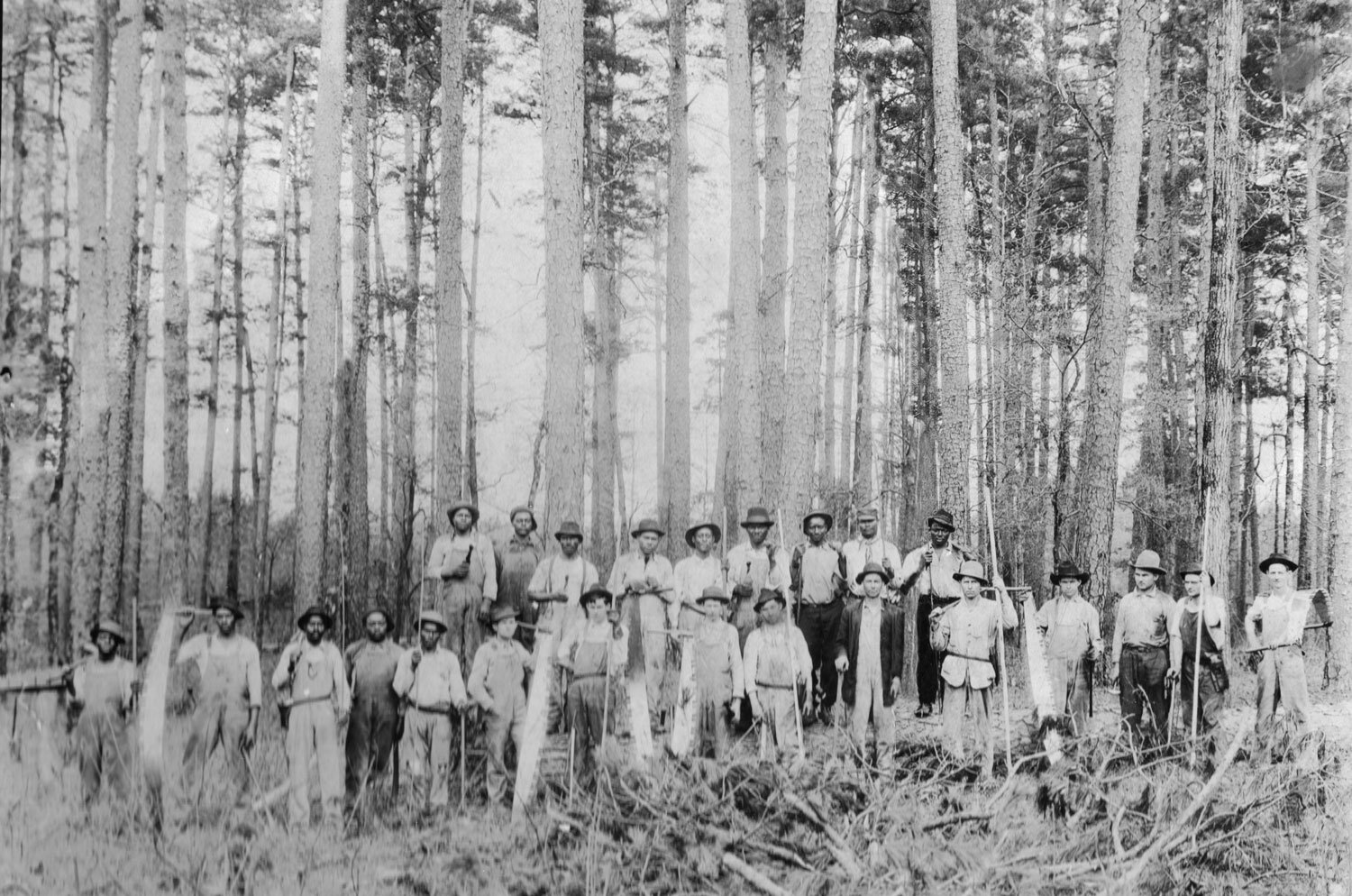 02Loggers.jpg