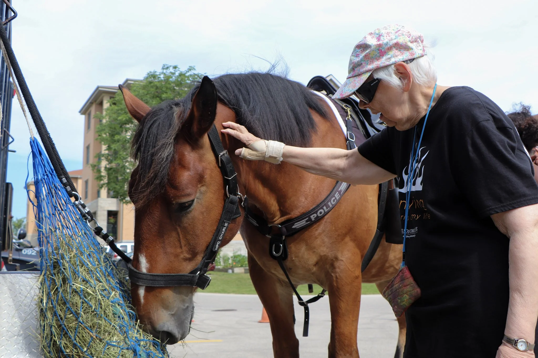 Horse_5598.jpg