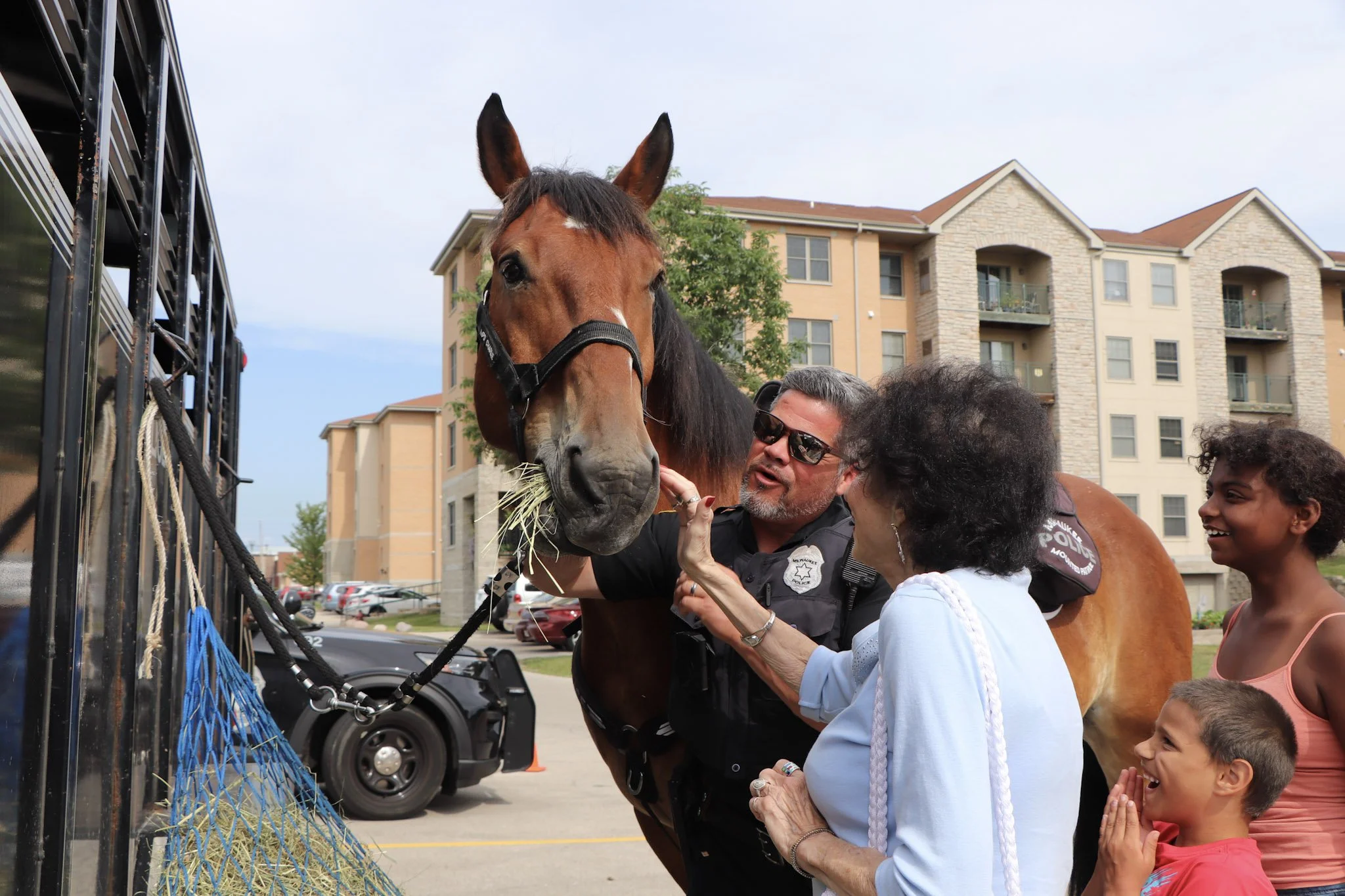 Horse_5571.jpg