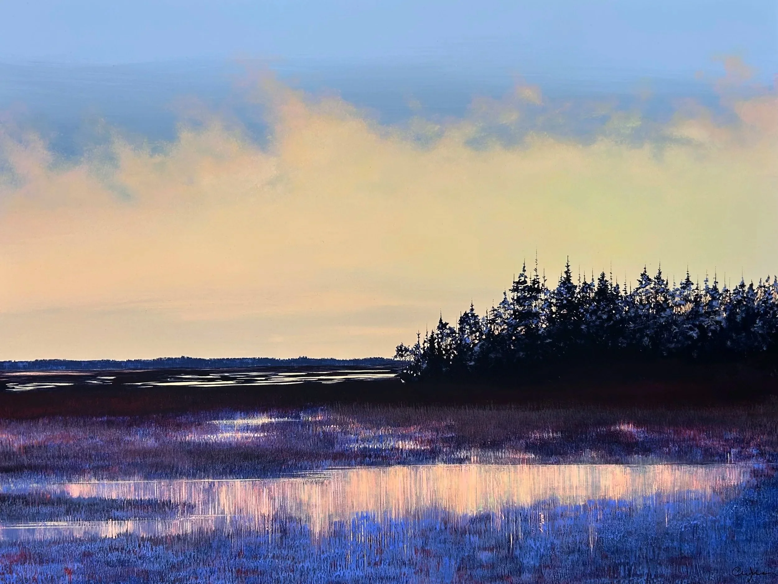 Luminous Shores