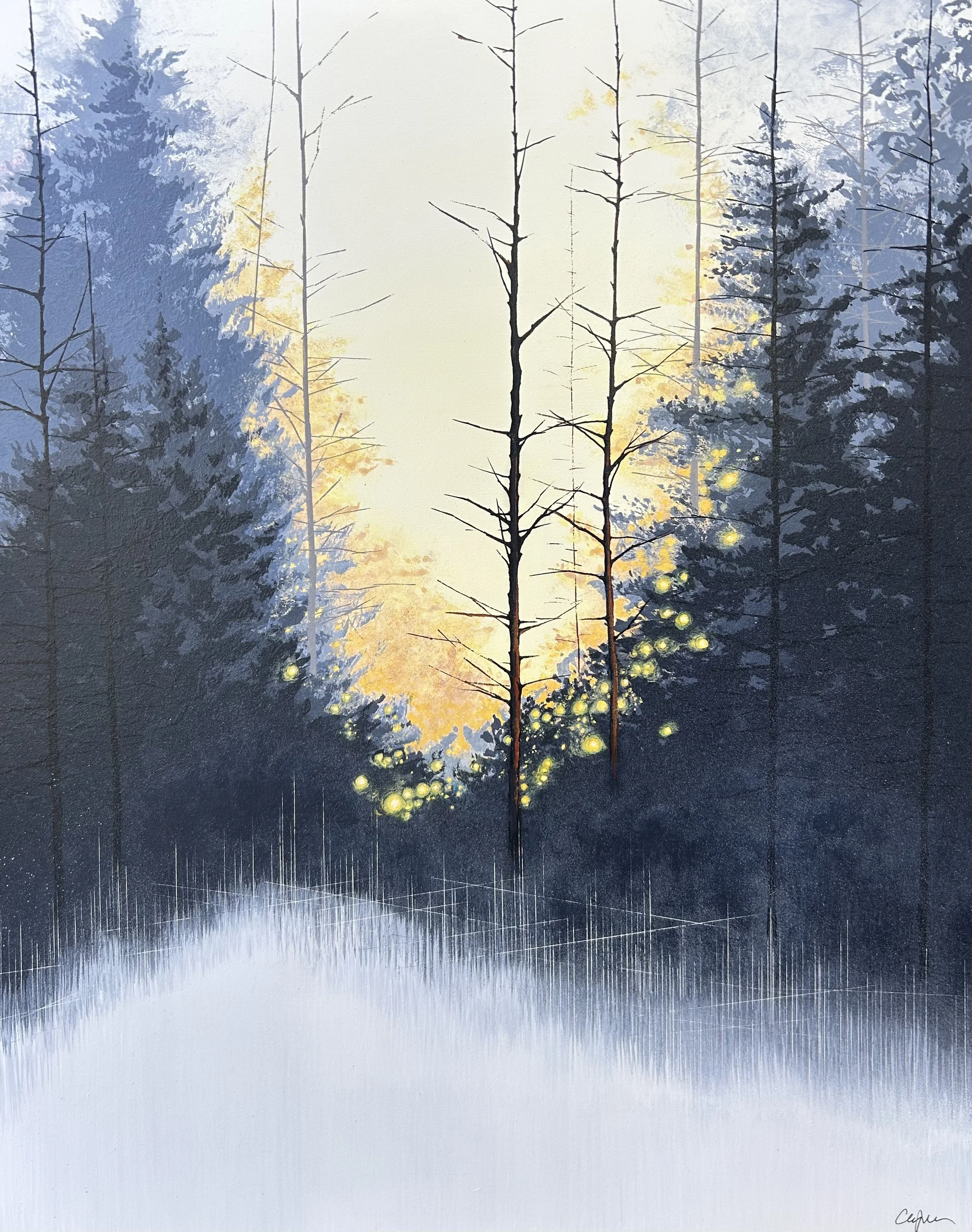 Beyond the Woods
