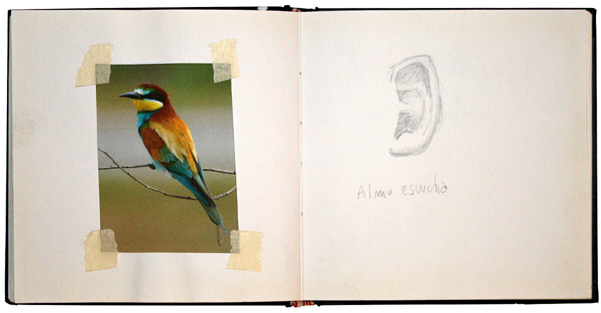 Sketchbook-Birdman-11.jpg