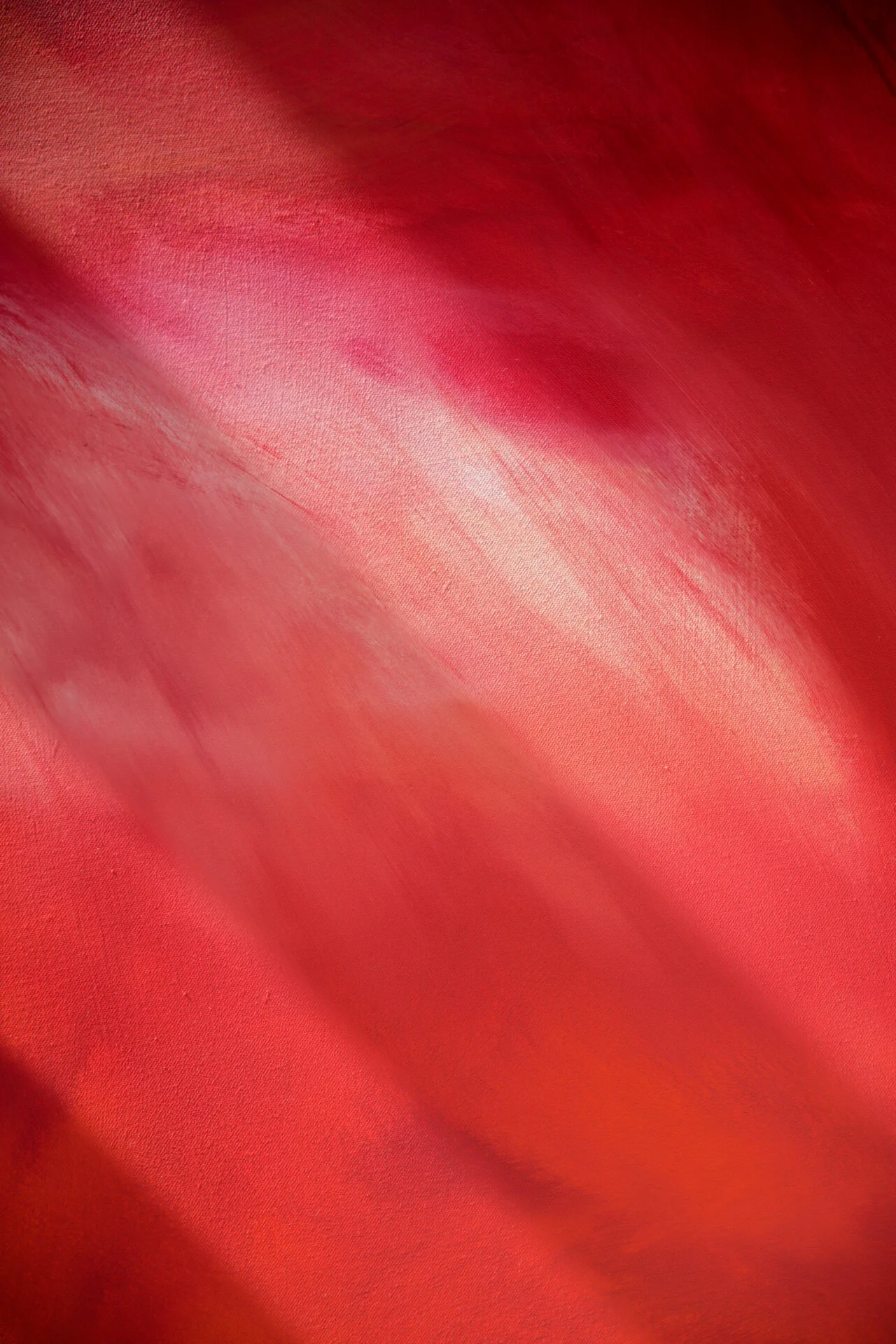 BA4A9387.JPG
