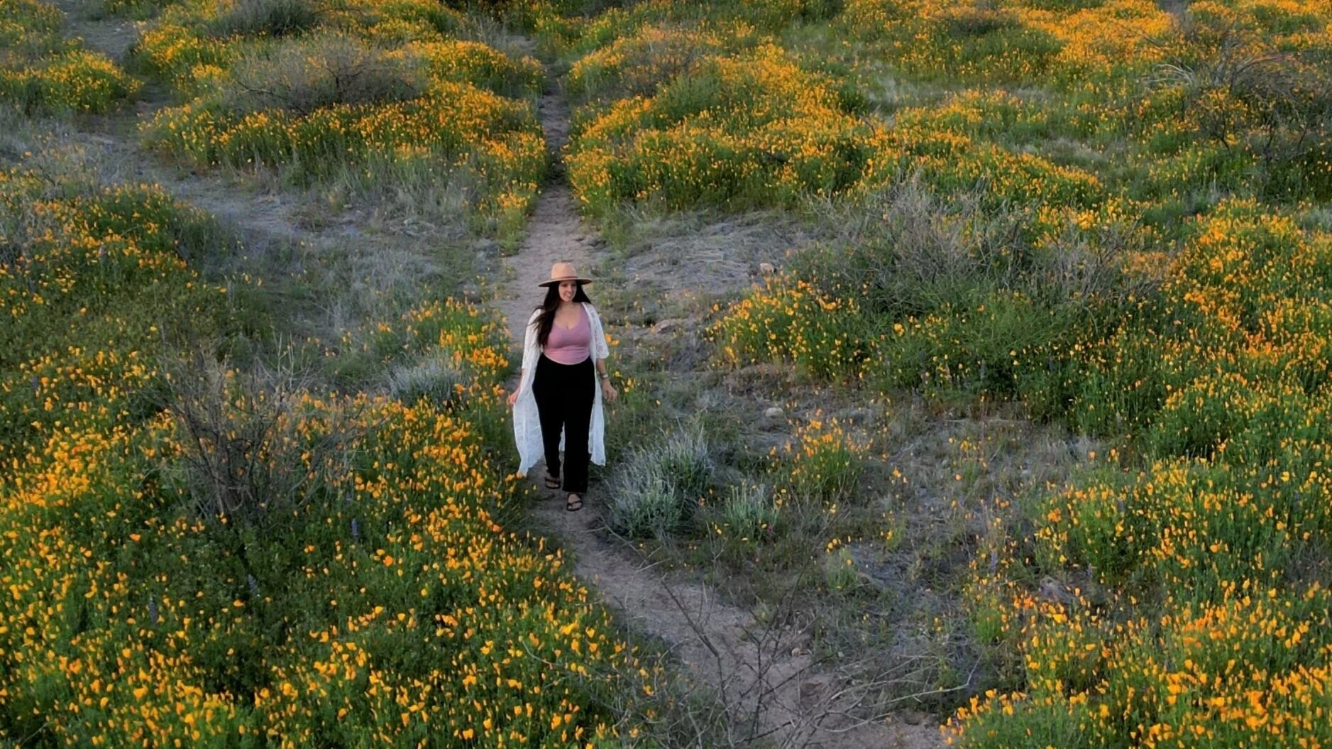  To Be Like a Wildflower