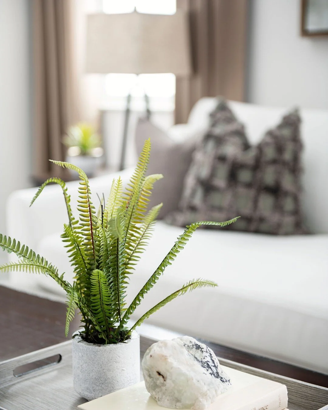 Greenery livens up any room! What are your favorite house plants? Real or Faux?⁣⁣
⁣
📦 Follow @getstashed for all your receiving needs and to see what we can offer you!⁣
🏠 Check out our sister company @tinamarieinteriordesign for design inspiration 
