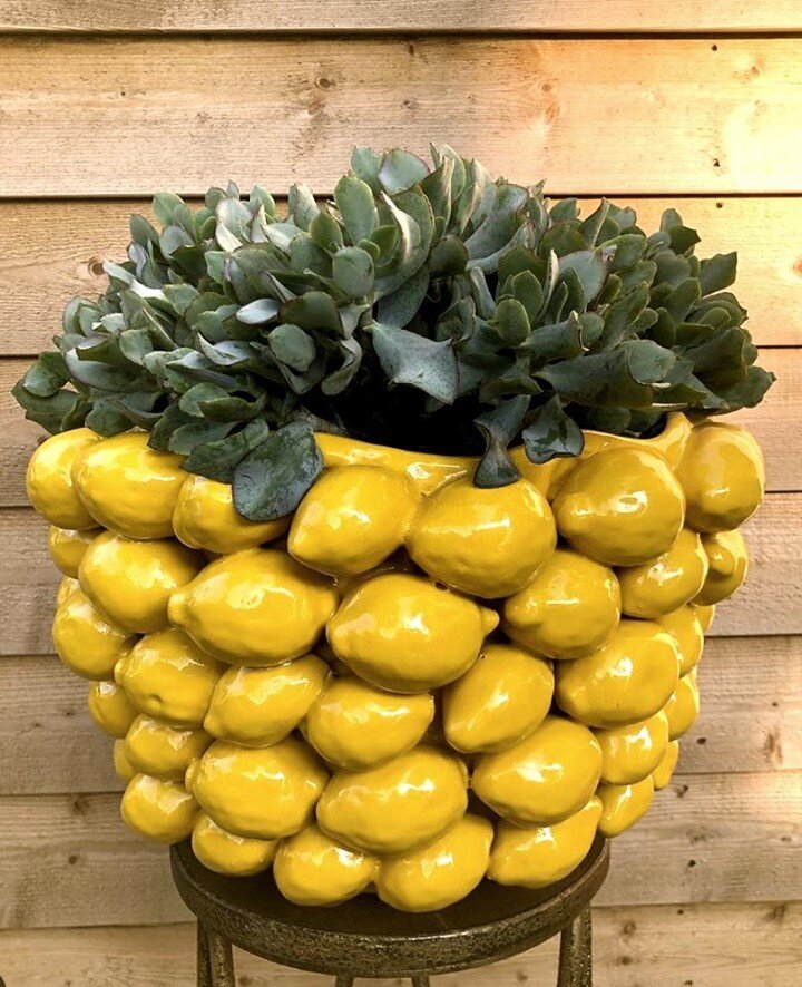 What a fun planter!  I love interesting things made out of everyday objects like this lemon planter from @groenflora_bilthoven .  So unexpected!⁠
____________________________________________⁠
📦 Follow @getstashed for all your receiving needs and to 