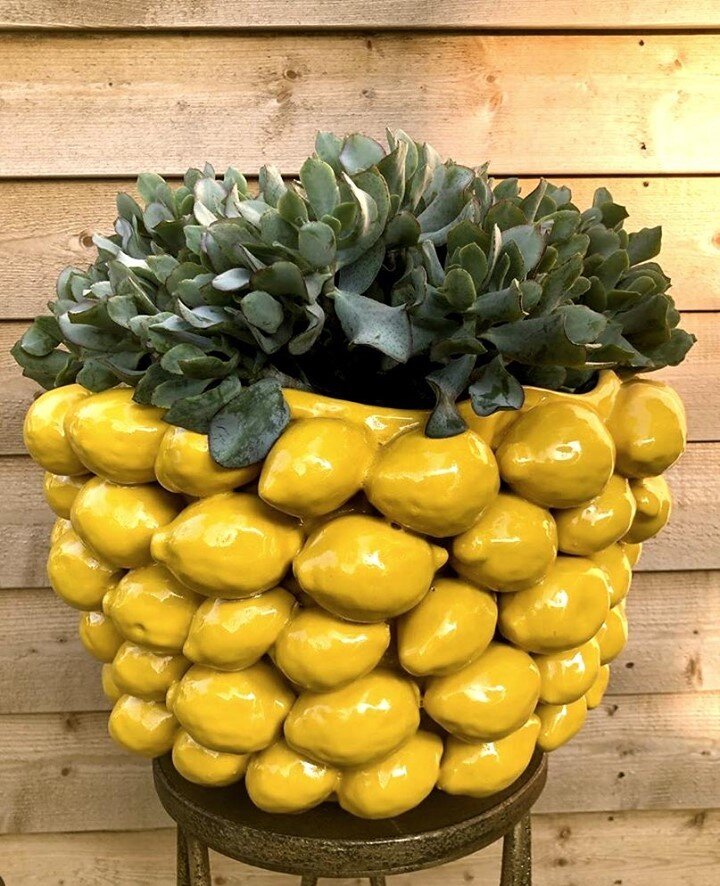 What a fun planter!  I love interesting things made out of everyday objects like this lemon planter from @groenflora_bilthoven .  So unexpected!⁠
____________________________________________⁠
📦 Follow @getstashed for all your receiving needs and to 
