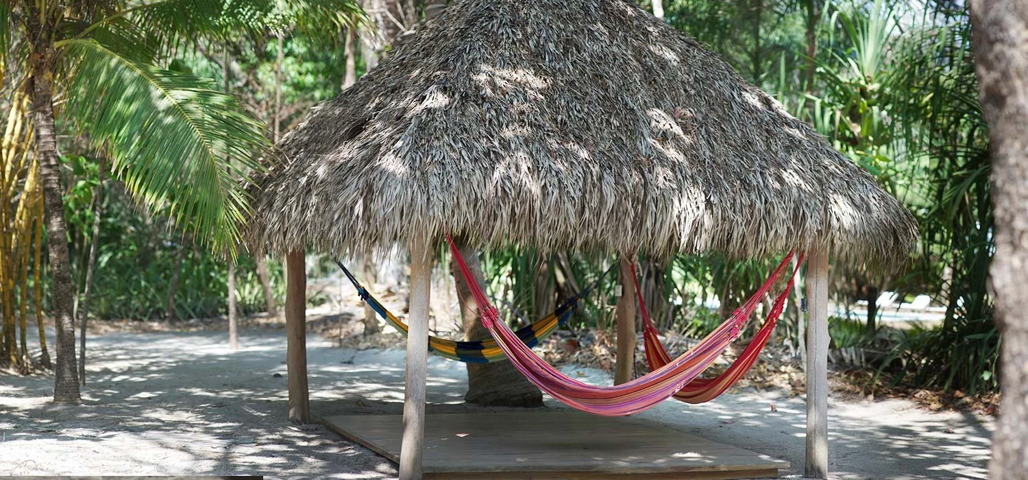 surf-house-hammock.jpeg