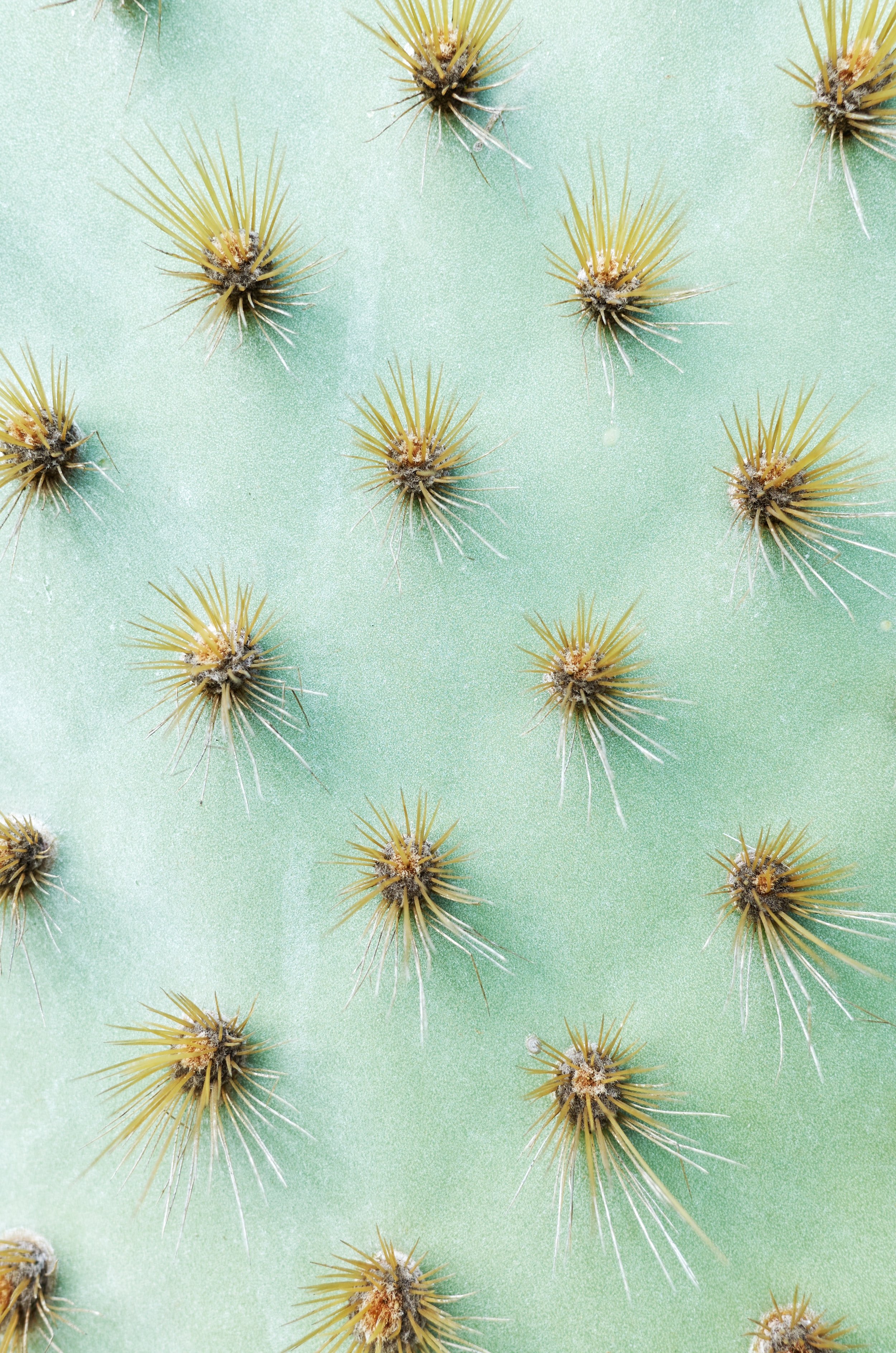 shutterstock_2680742819 (1).jpg