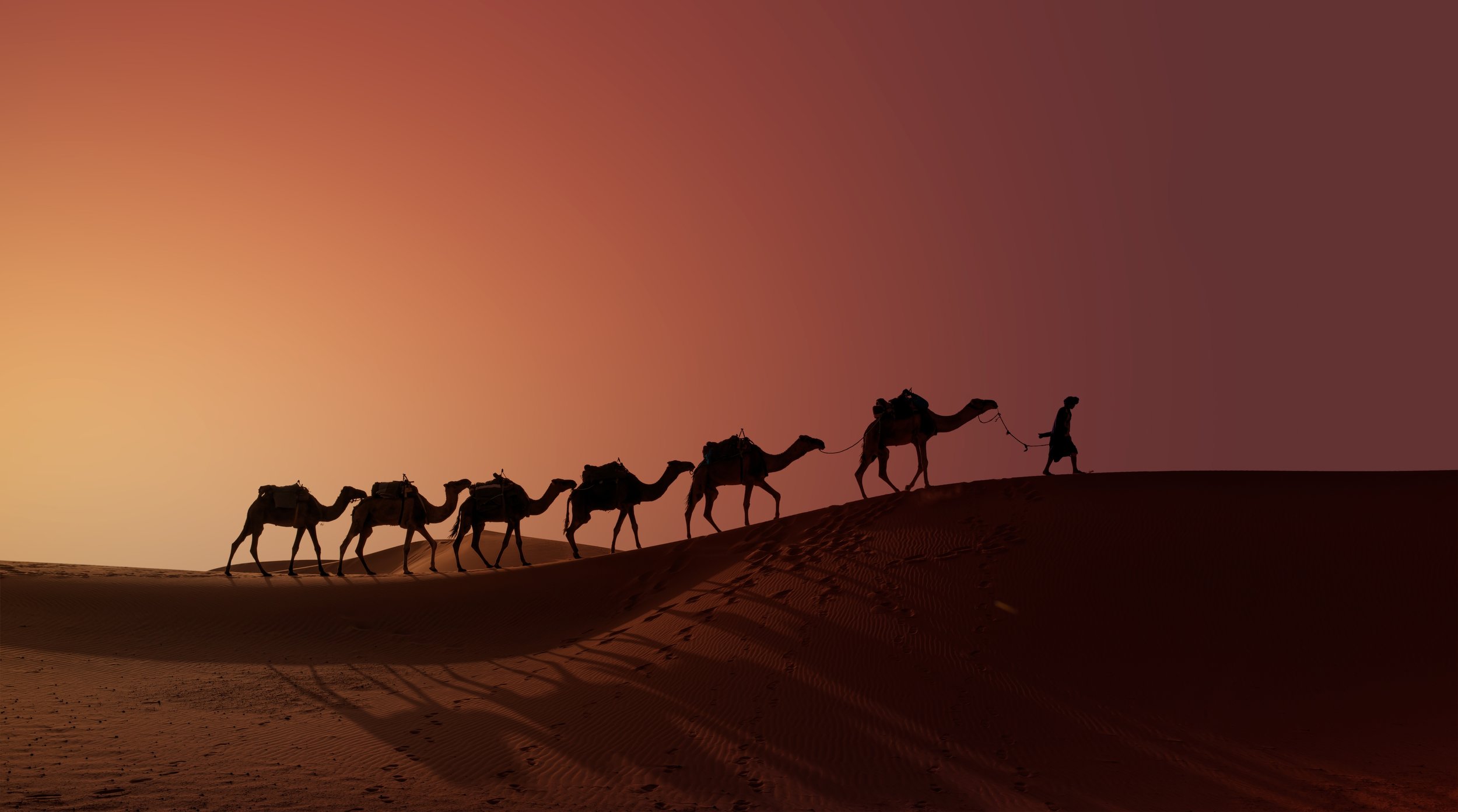 shutterstock_2624970751.jpg
