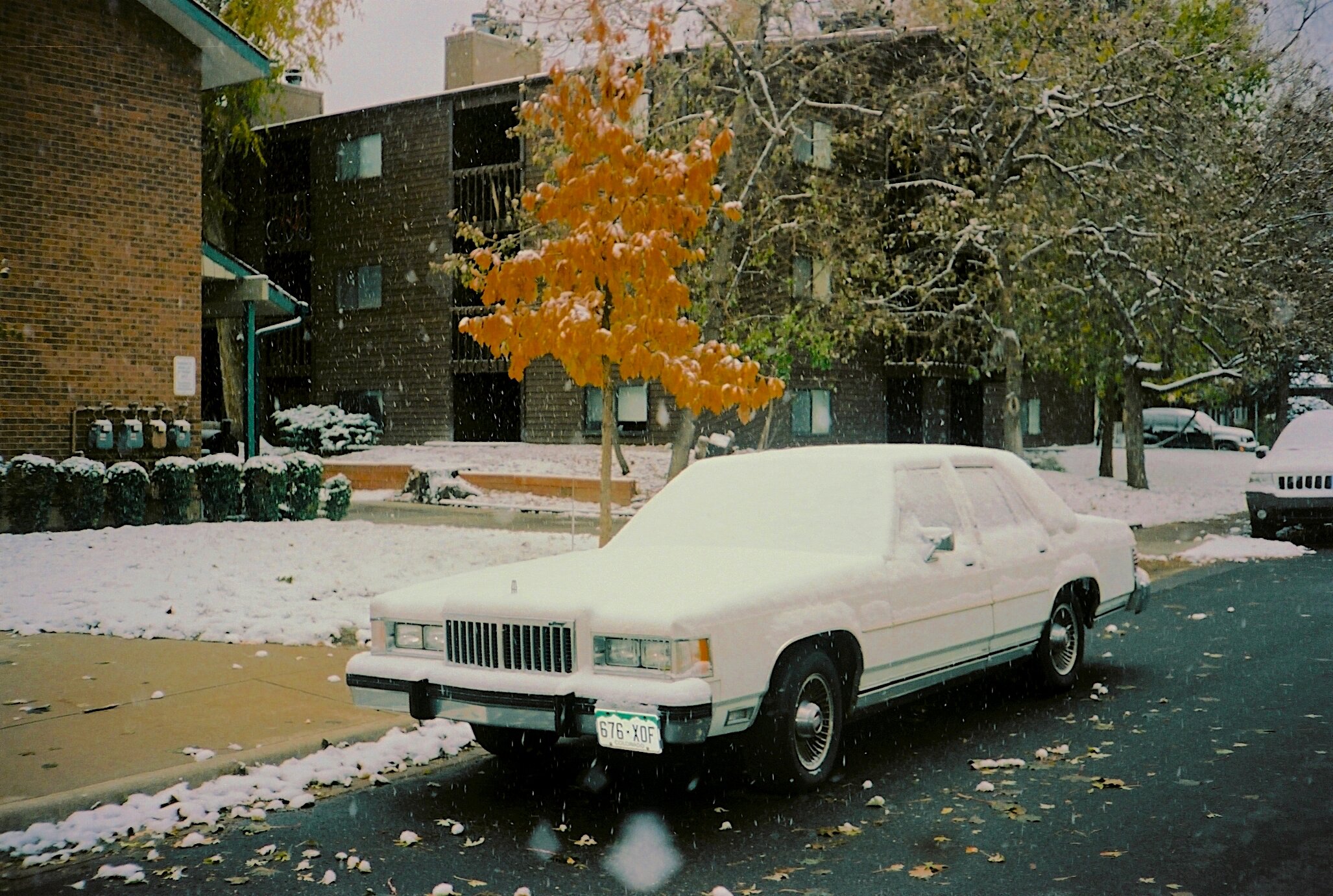 white snow car.jpg
