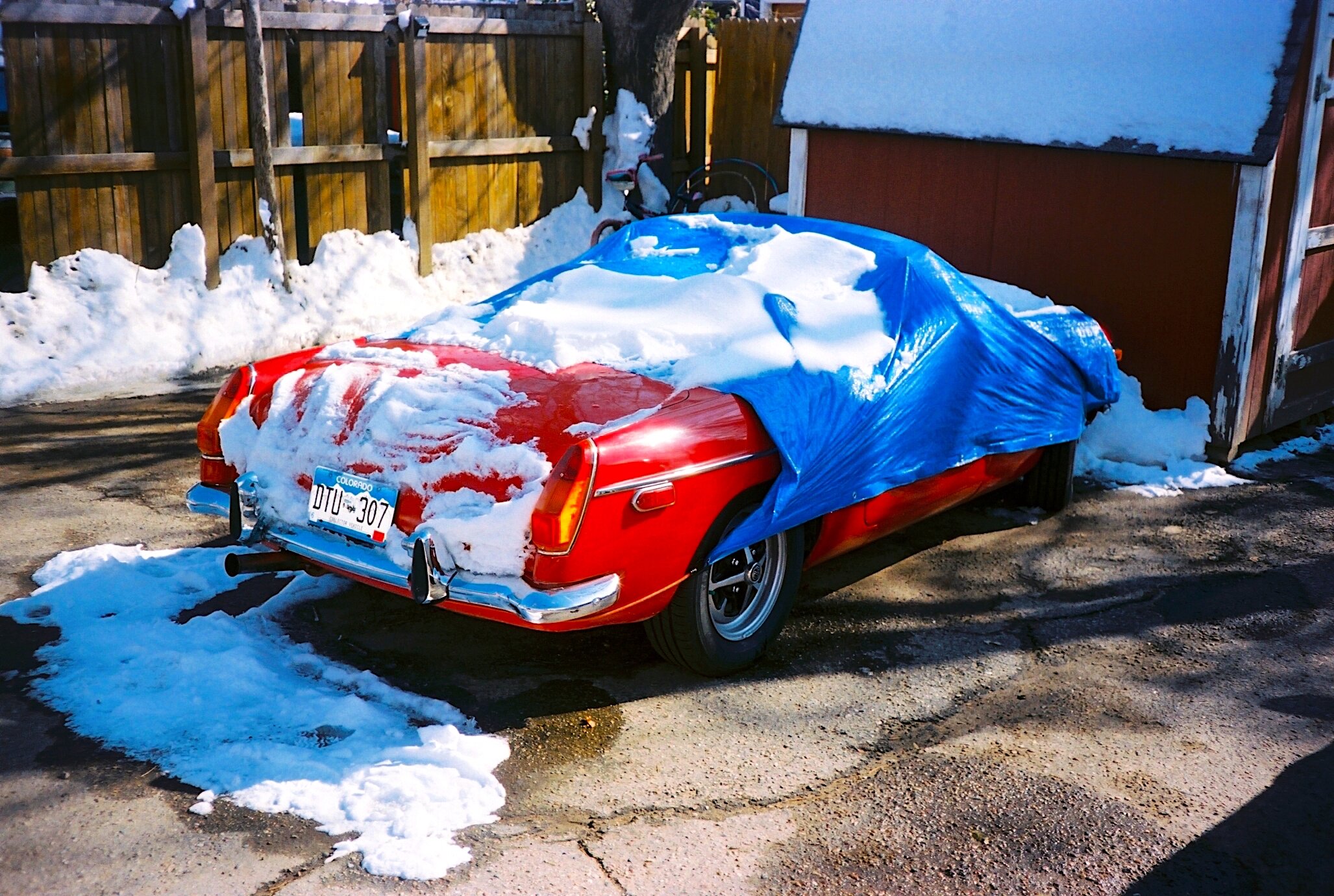 back red car.jpg