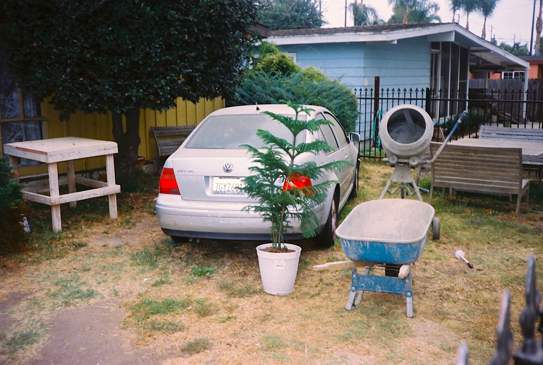 vw front yard .jpg