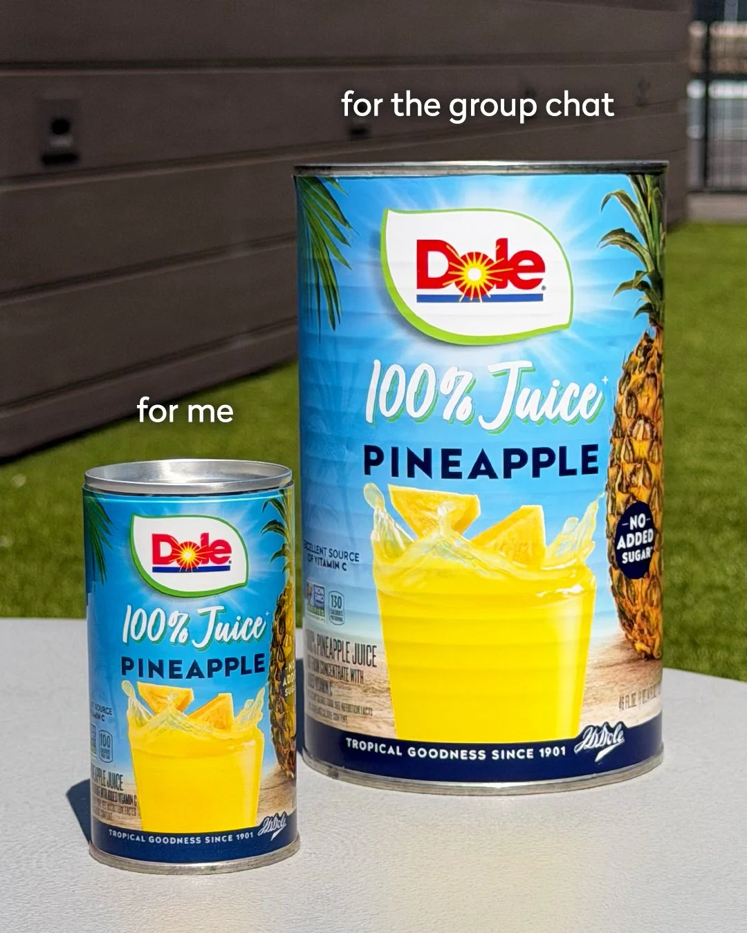 dole_formevsforthegroupchat copy.jpg