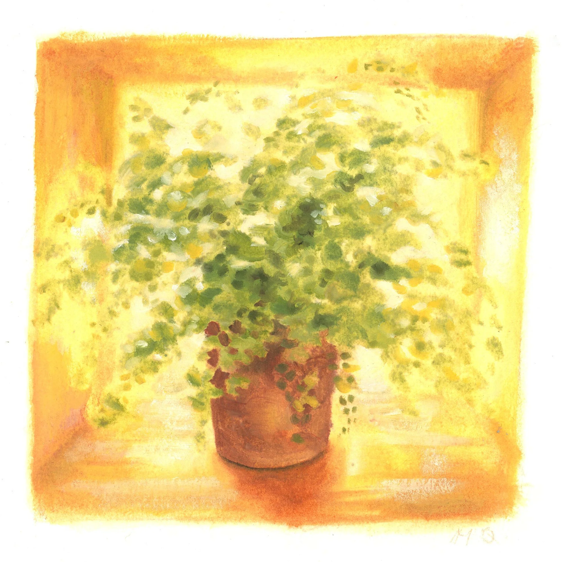 sun plant.jpg