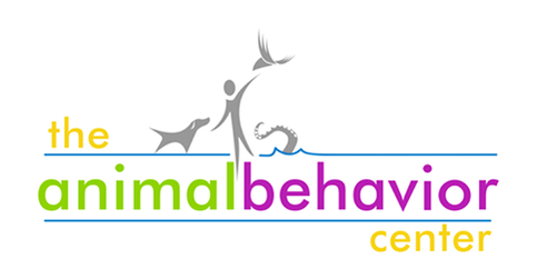 The Parrot Project - The Animal Behavior Center 