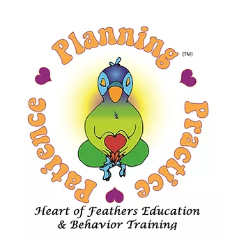 Heart of Feathers Education &amp; Behavior Training