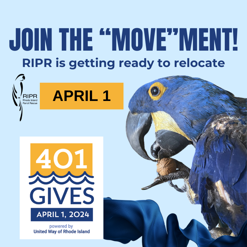 401 Gives
